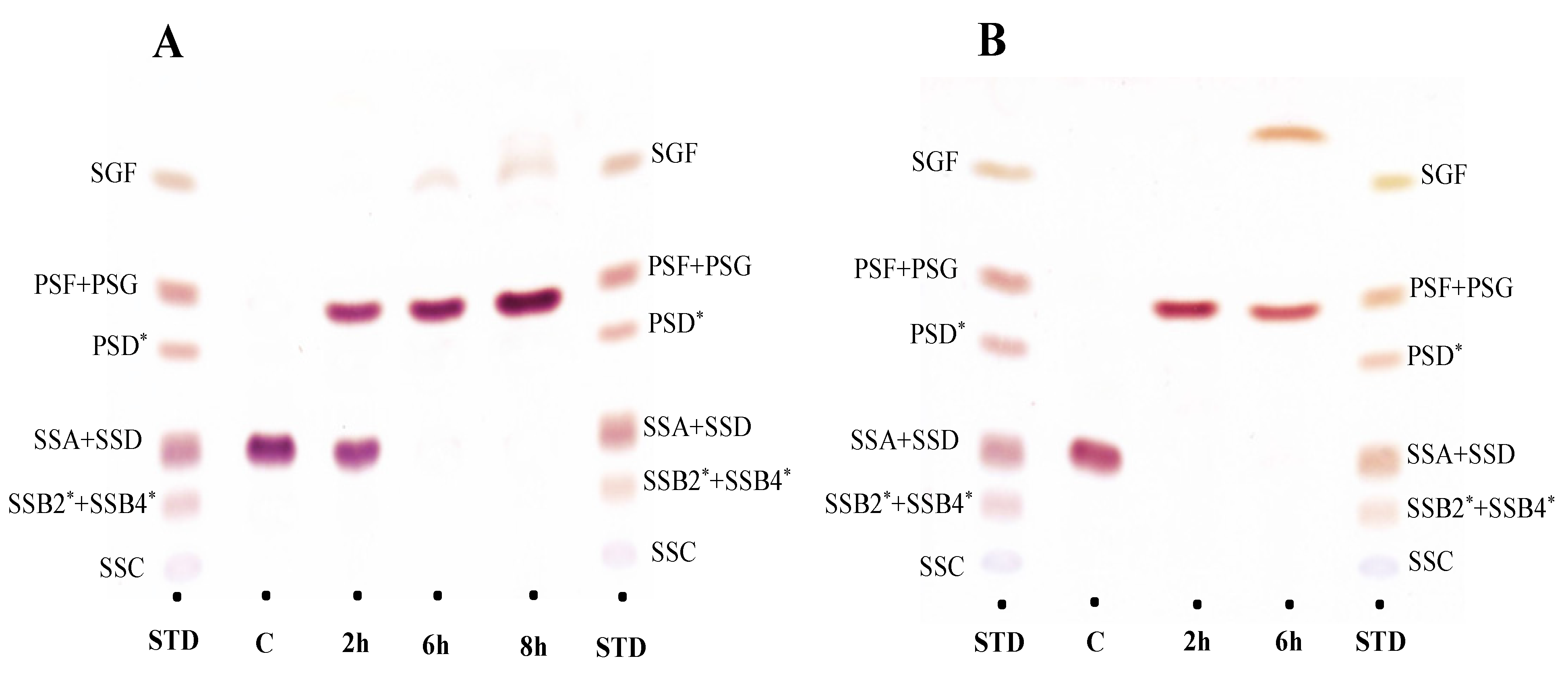 Molecules 27 03255 g003