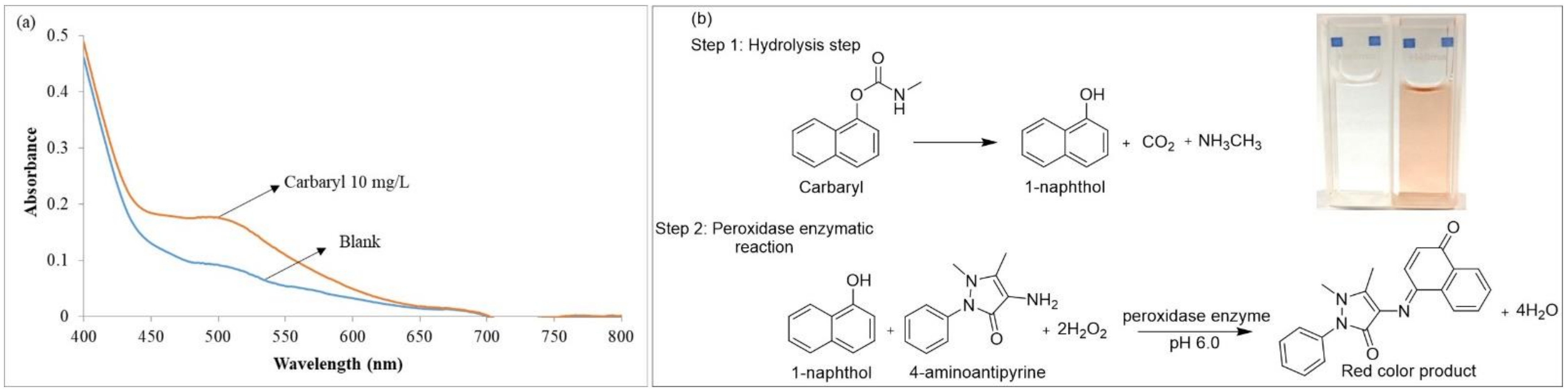 Molecules 27 03261 g001
