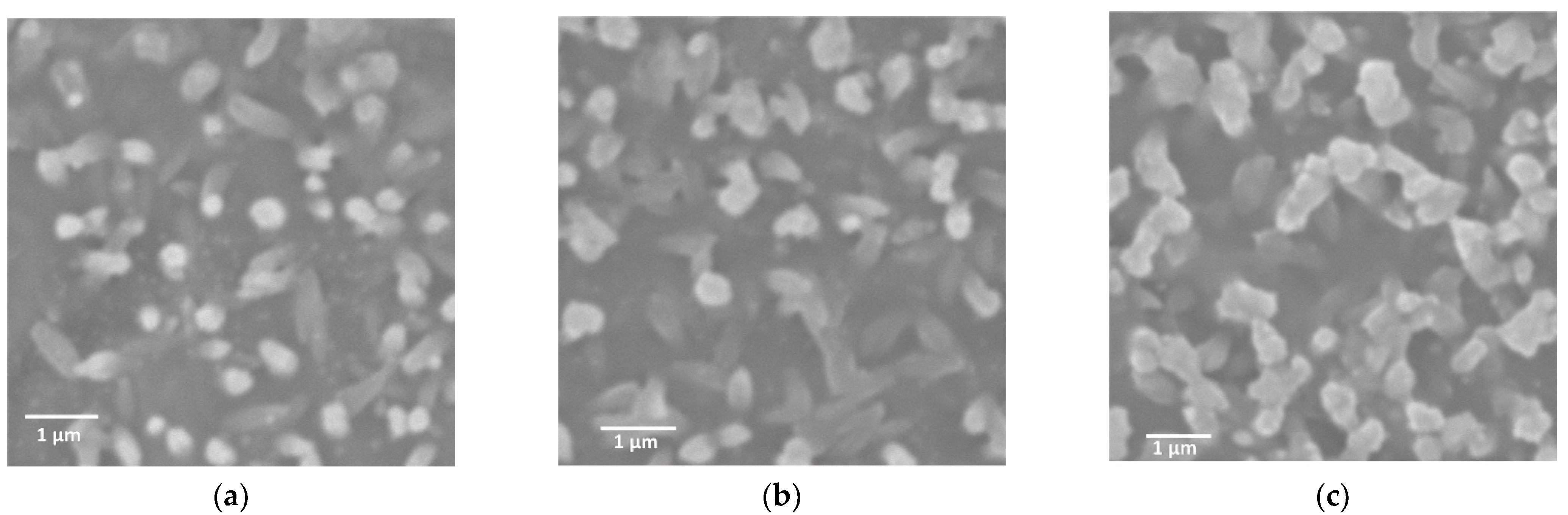 Molecules 27 03262 g002