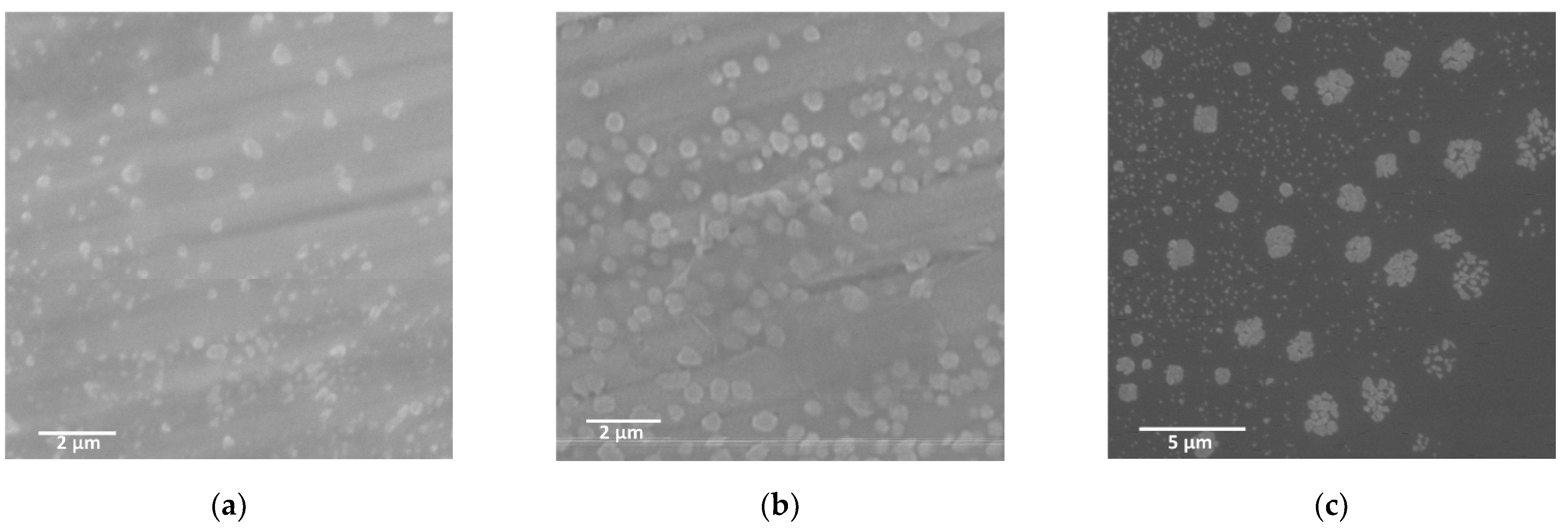 Molecules 27 03262 g004