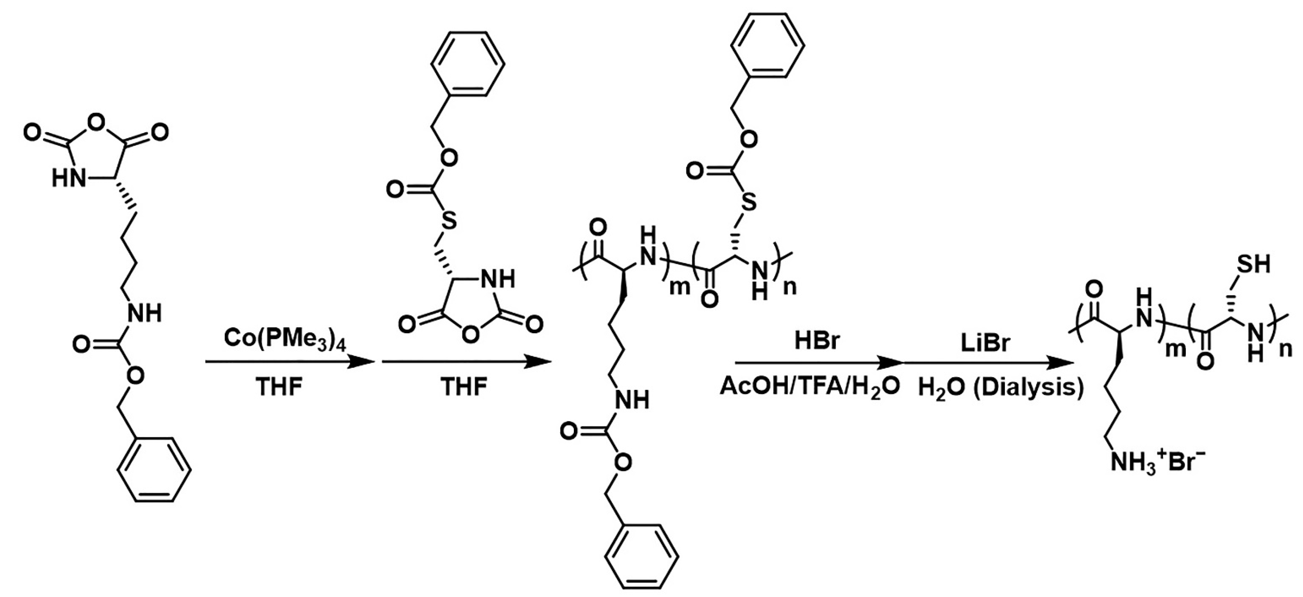 Molecules 27 03262 g012