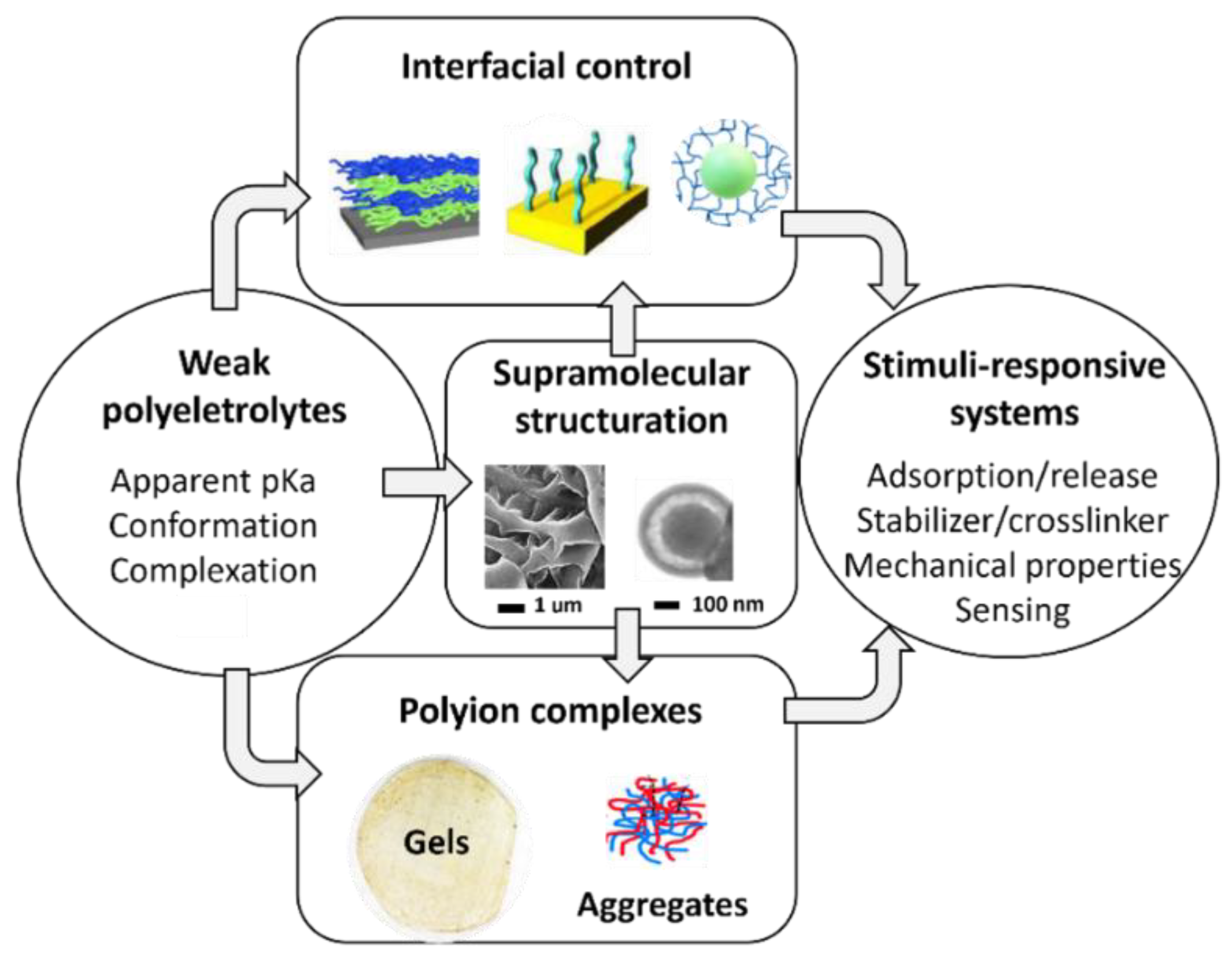 Molecules 27 03263 g001