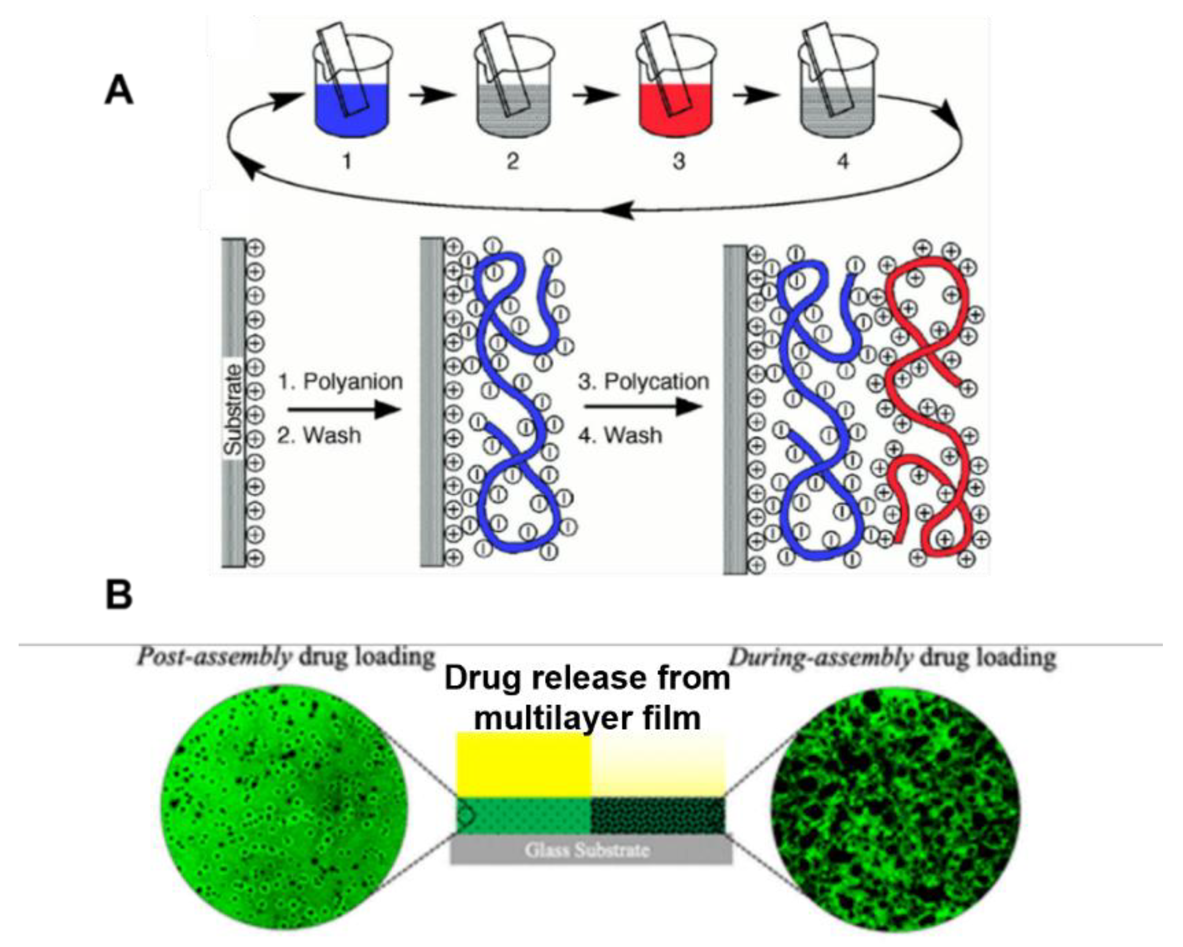 Molecules 27 03263 g003