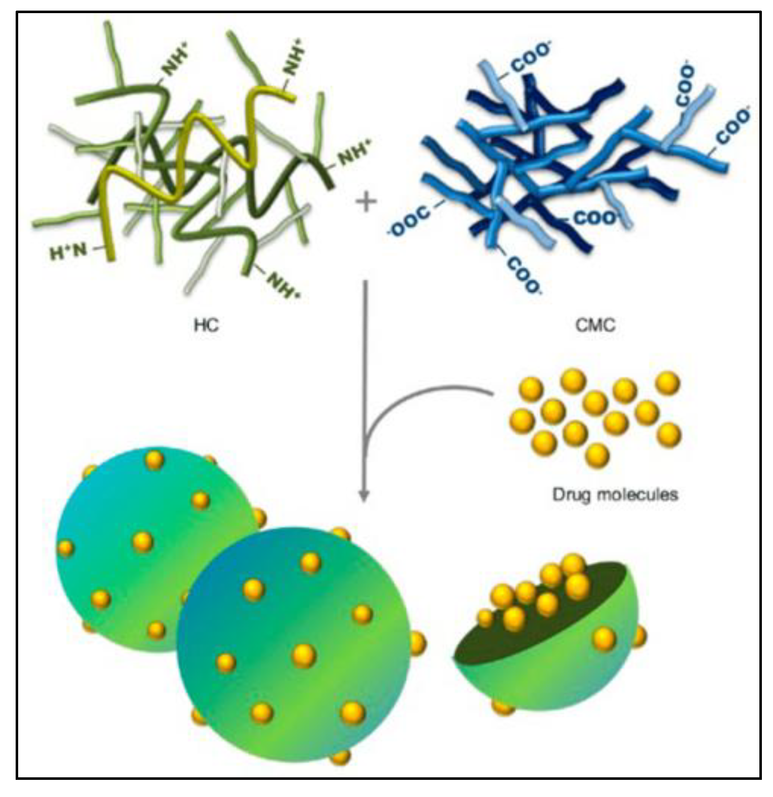 Molecules 27 03263 g008