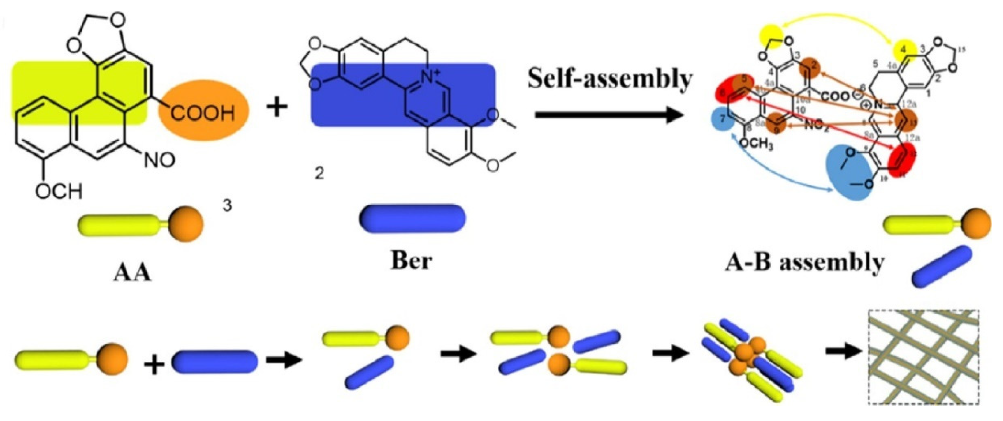 Molecules 27 03268 g005