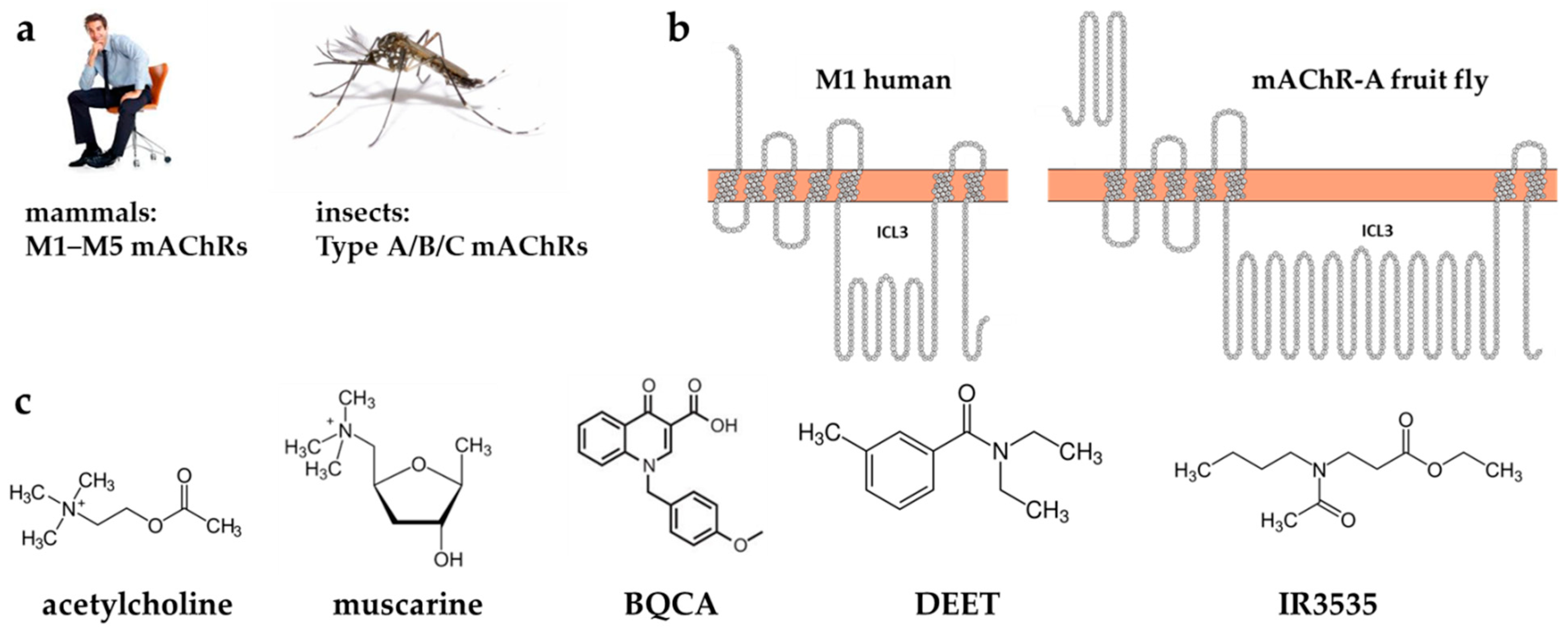 Molecules 27 03280 g001