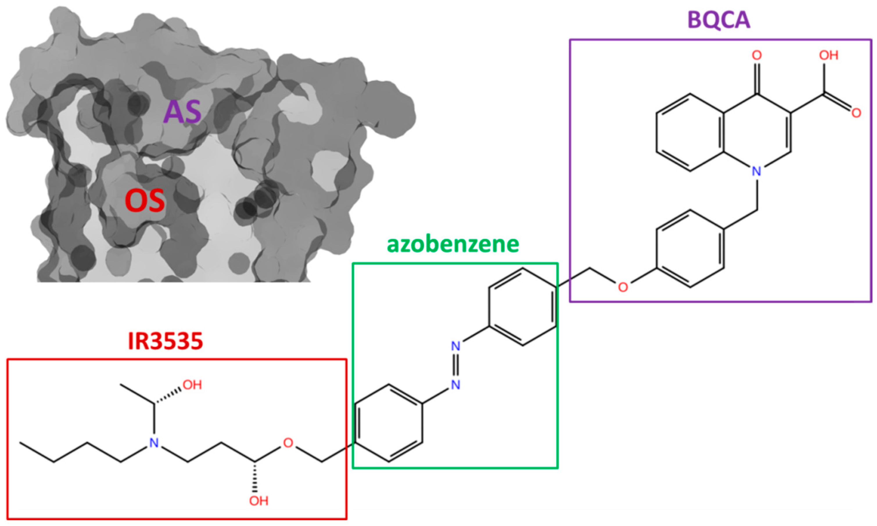 Molecules 27 03280 g007