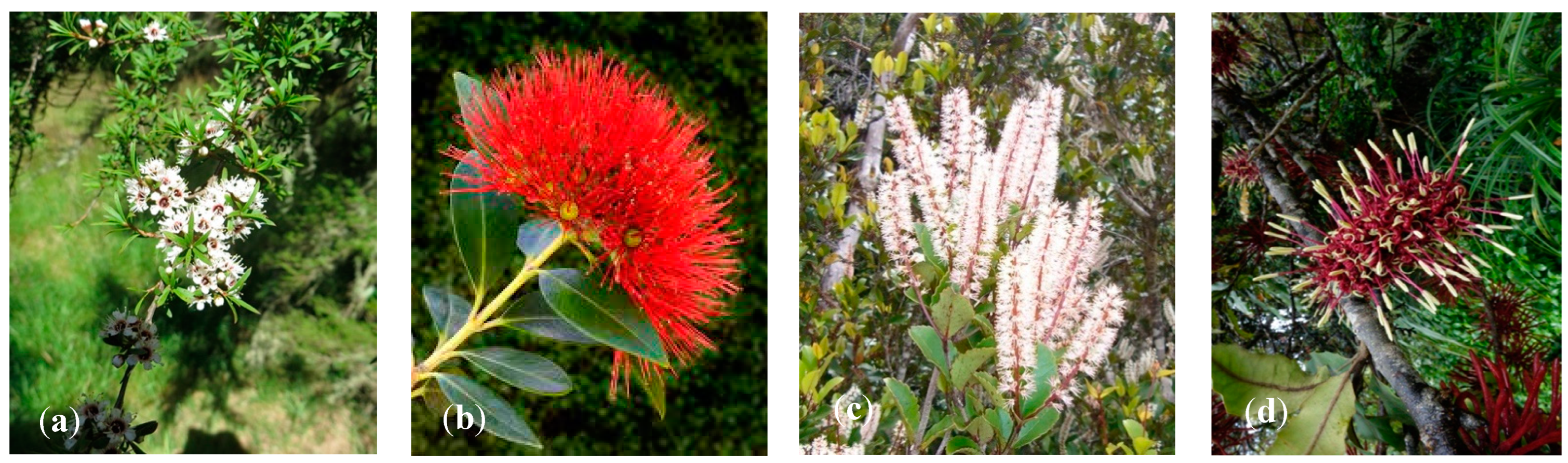 Molecules 27 03282 g001