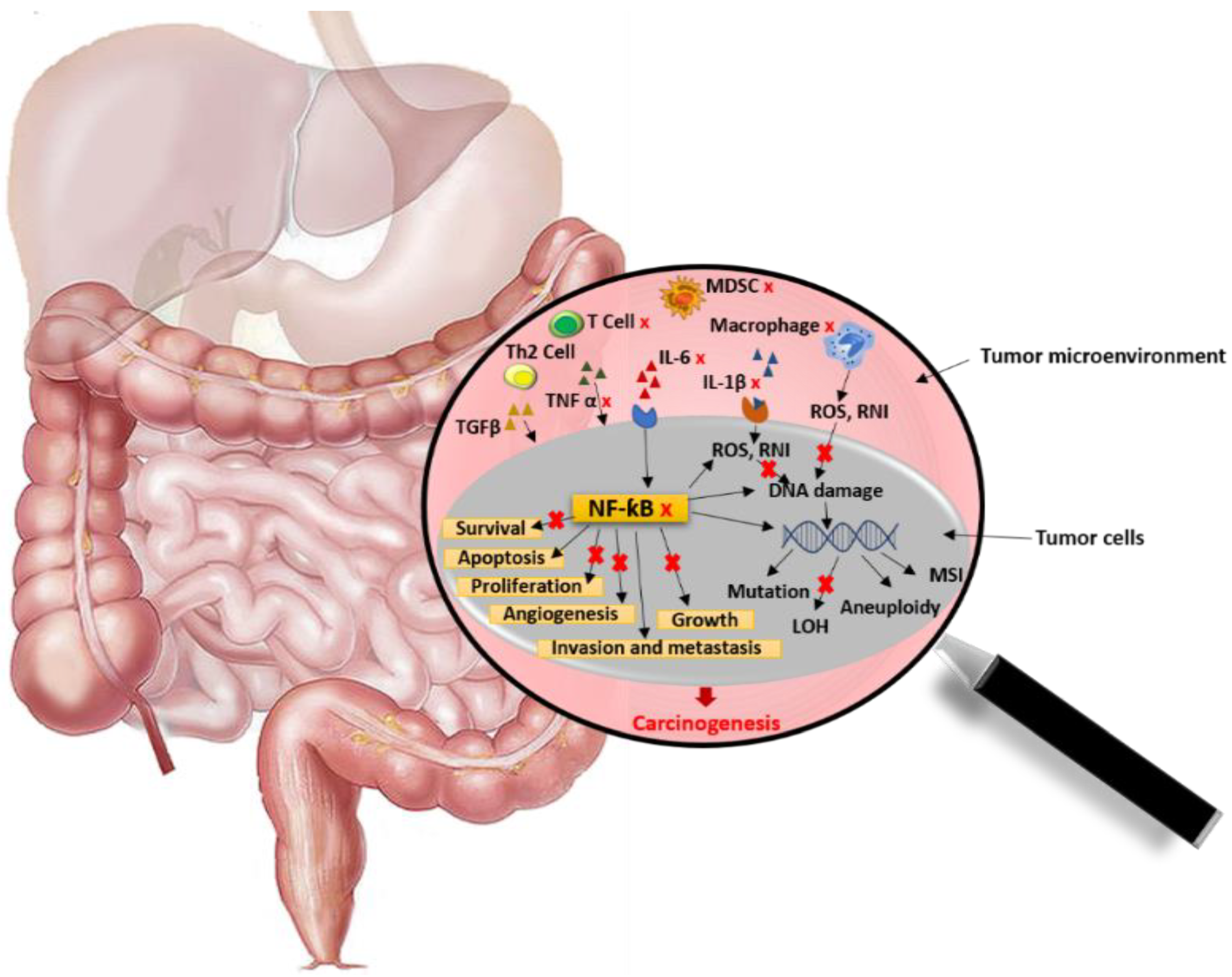 Molecules 27 03286 g004