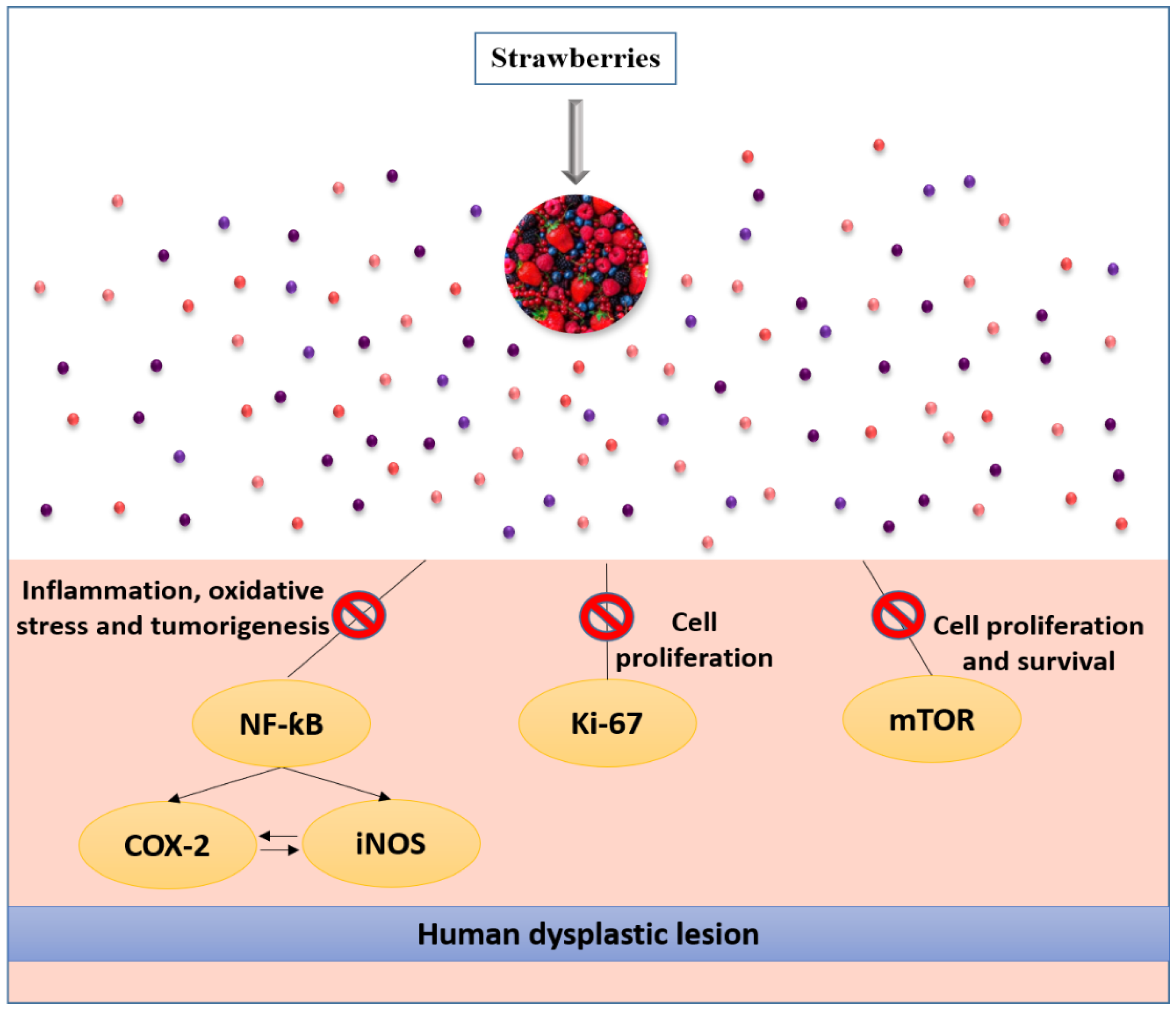 Molecules 27 03286 g005