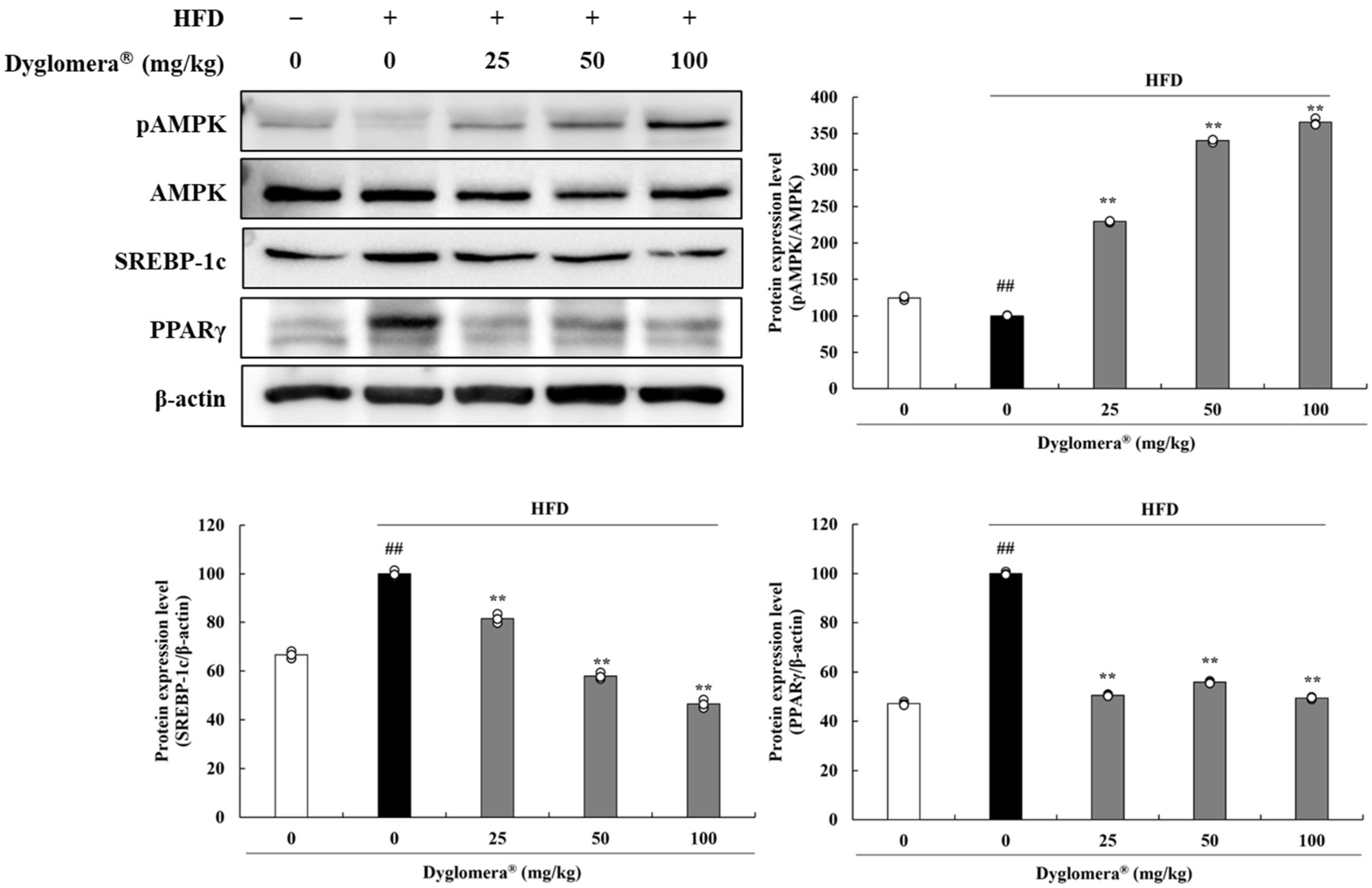 Molecules 27 03288 g004