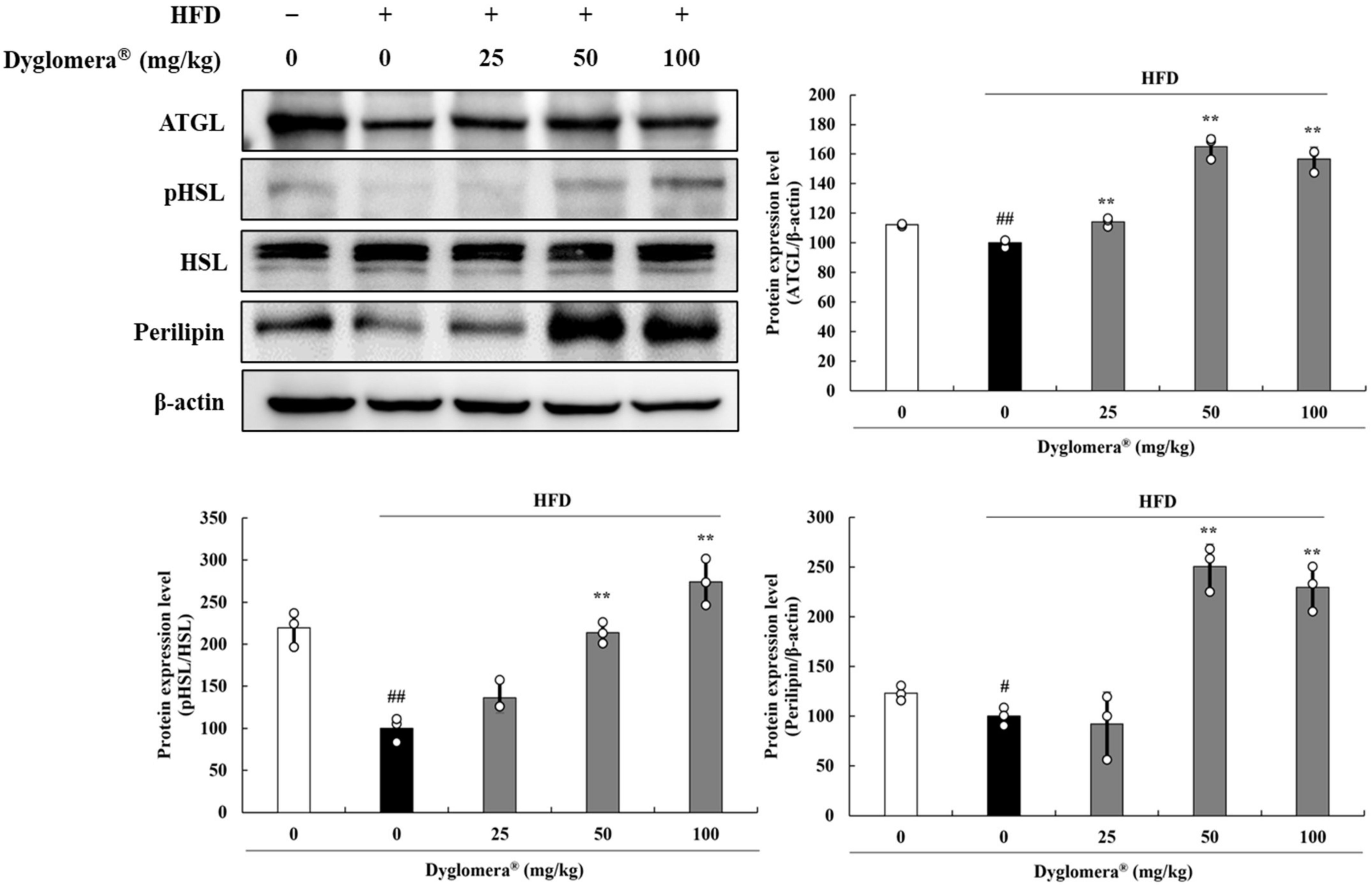 Molecules 27 03288 g005
