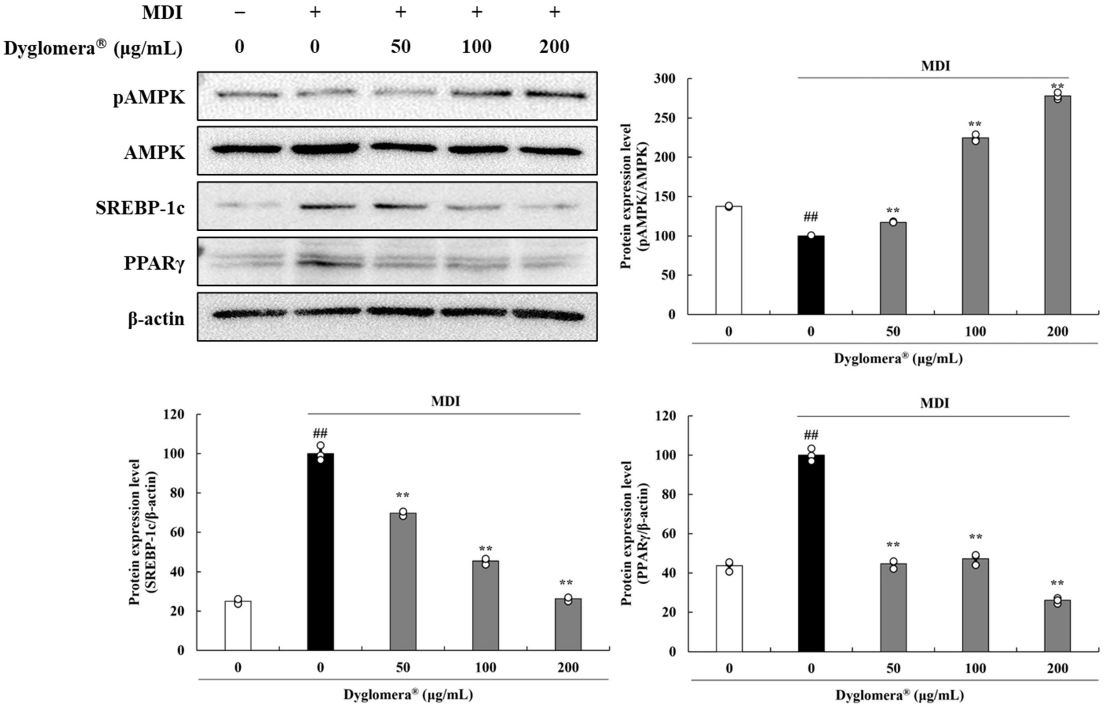 Molecules 27 03288 g008