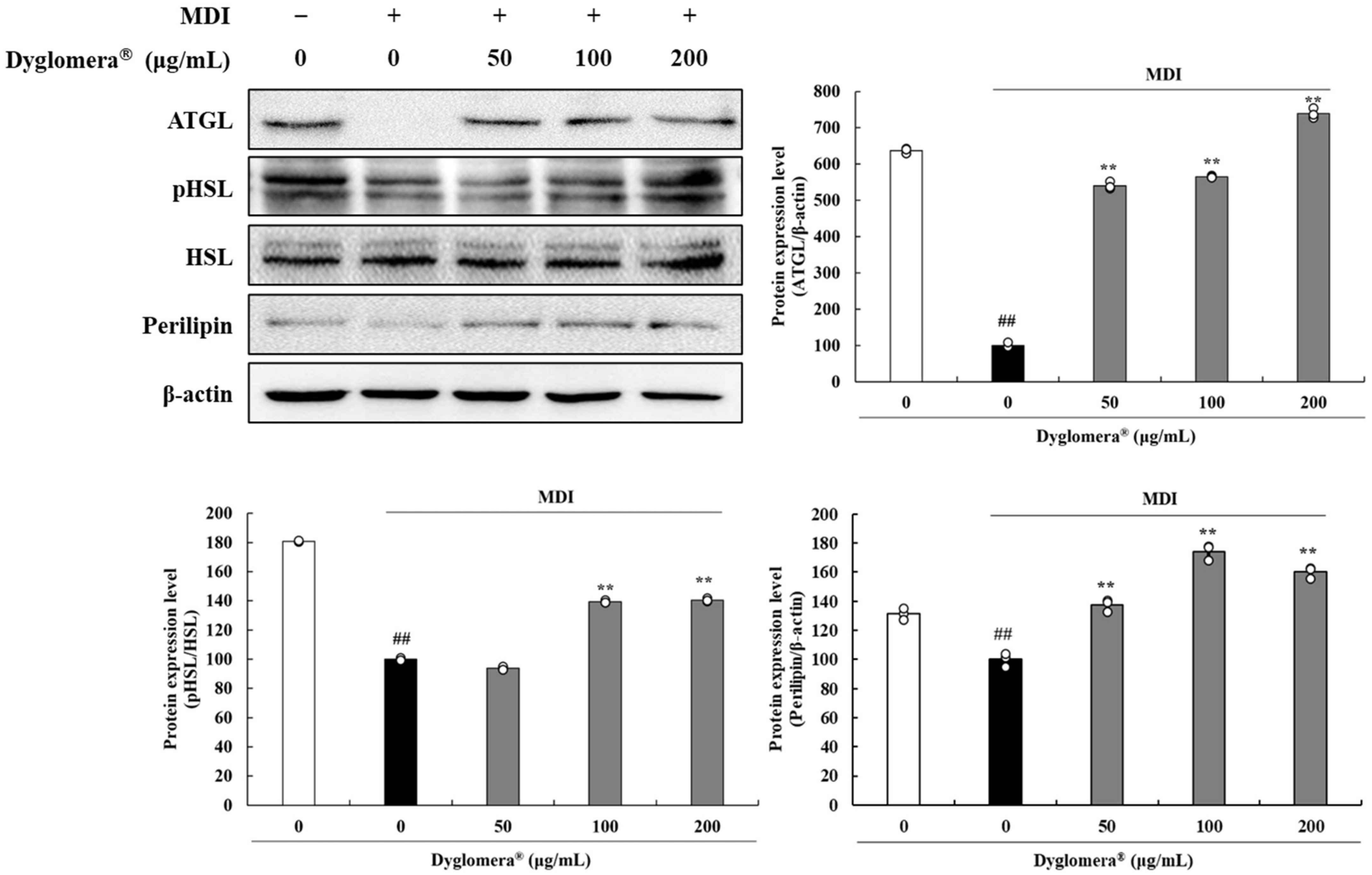 Molecules 27 03288 g009