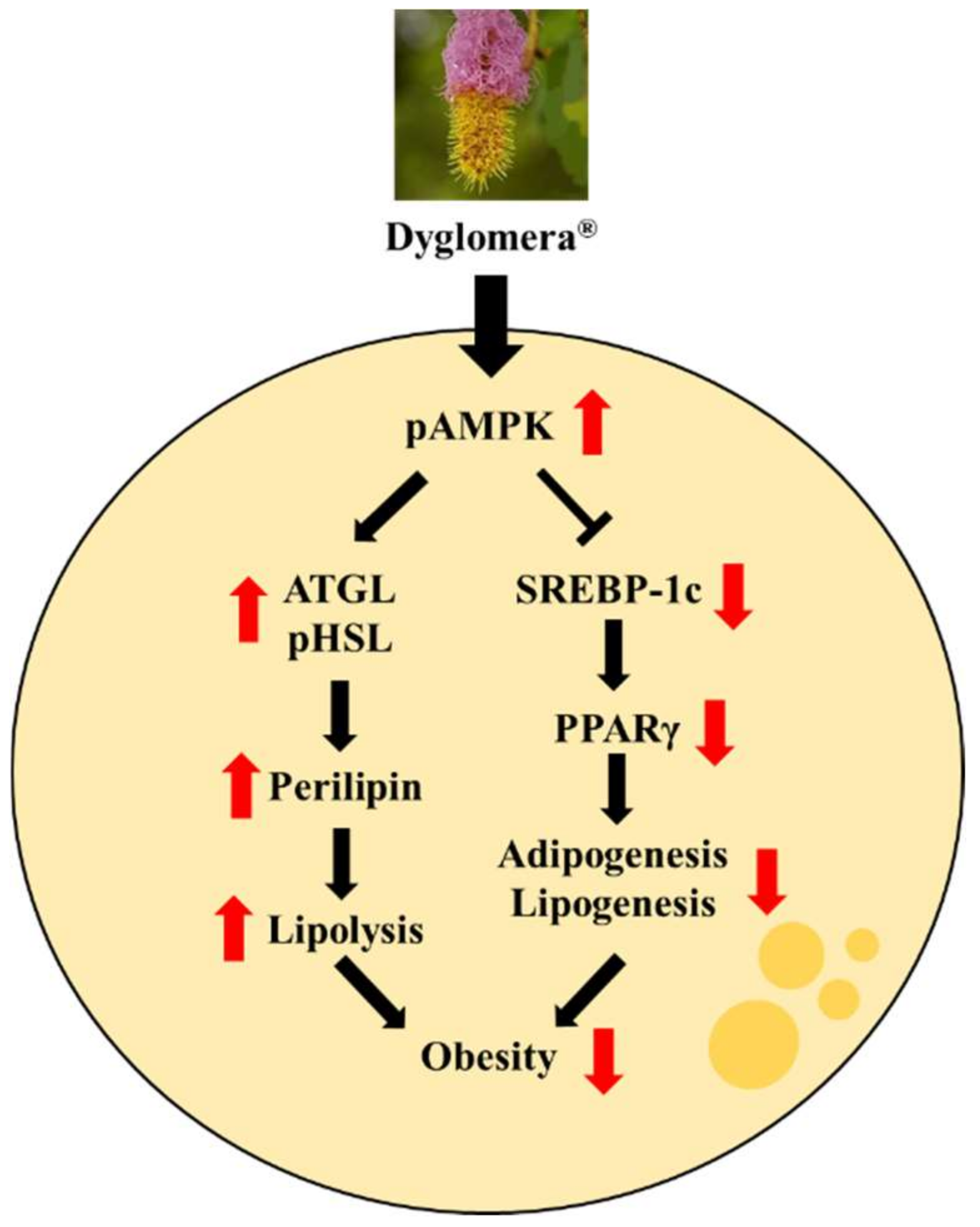 Molecules 27 03288 g010