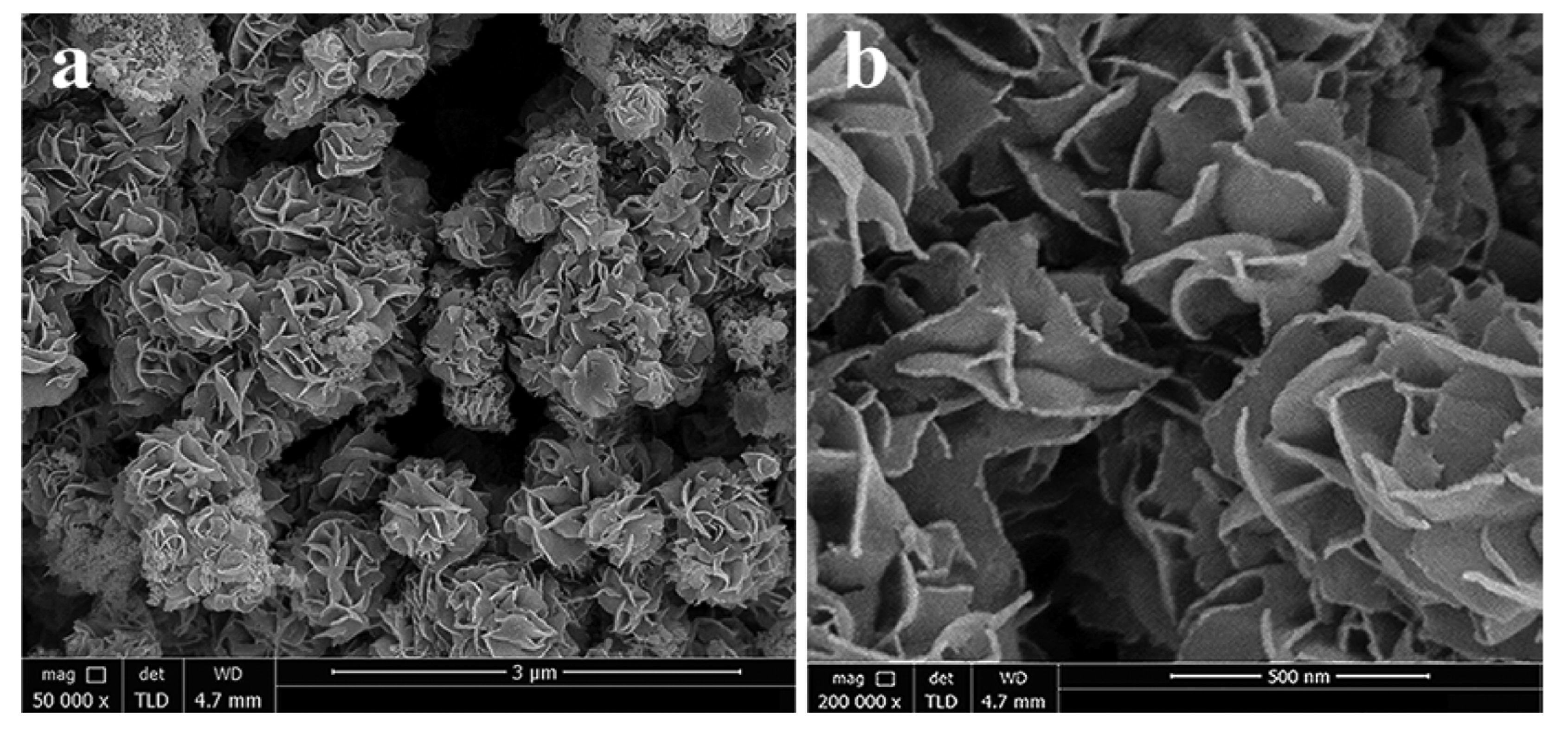 Molecules 27 03289 g005
