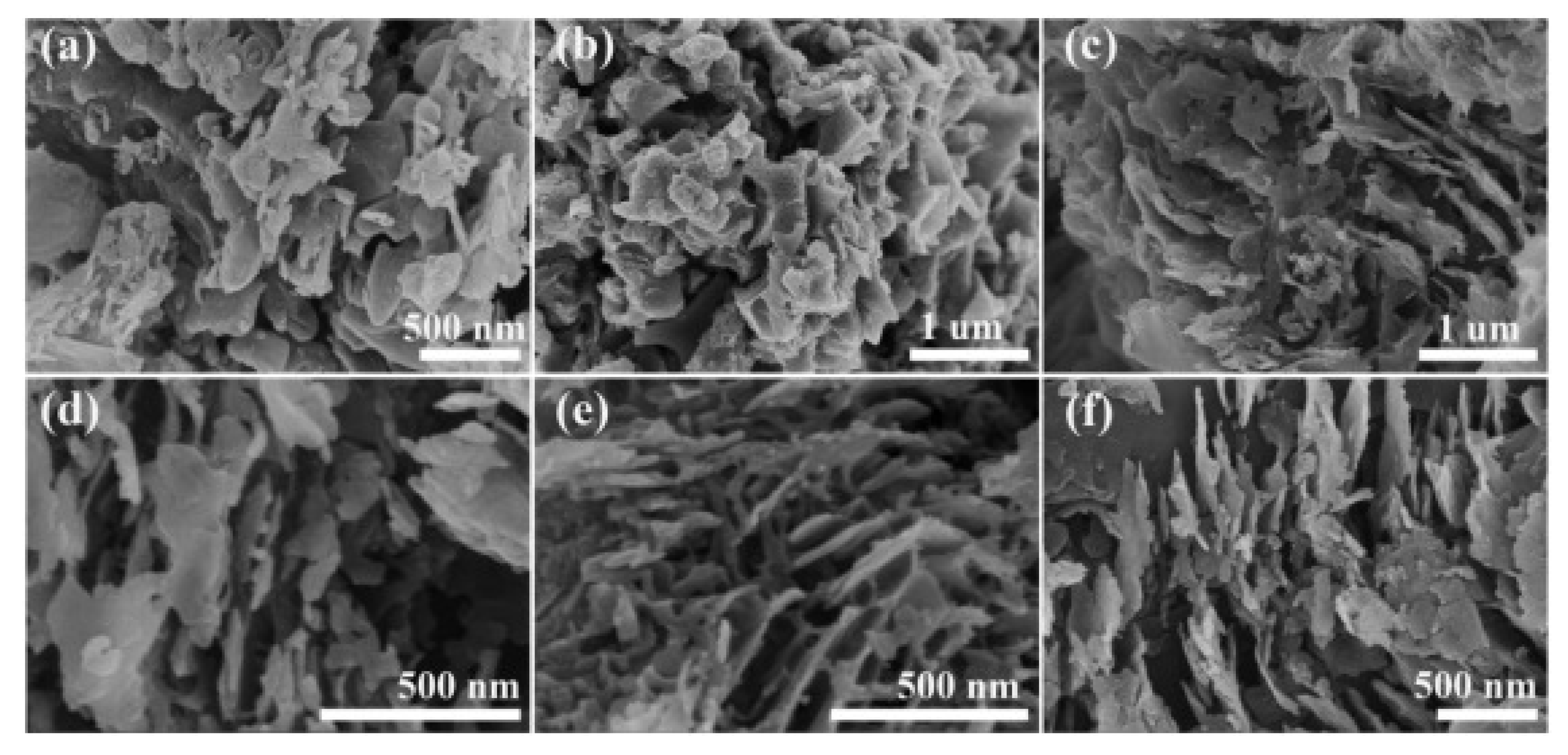 Molecules 27 03289 g006