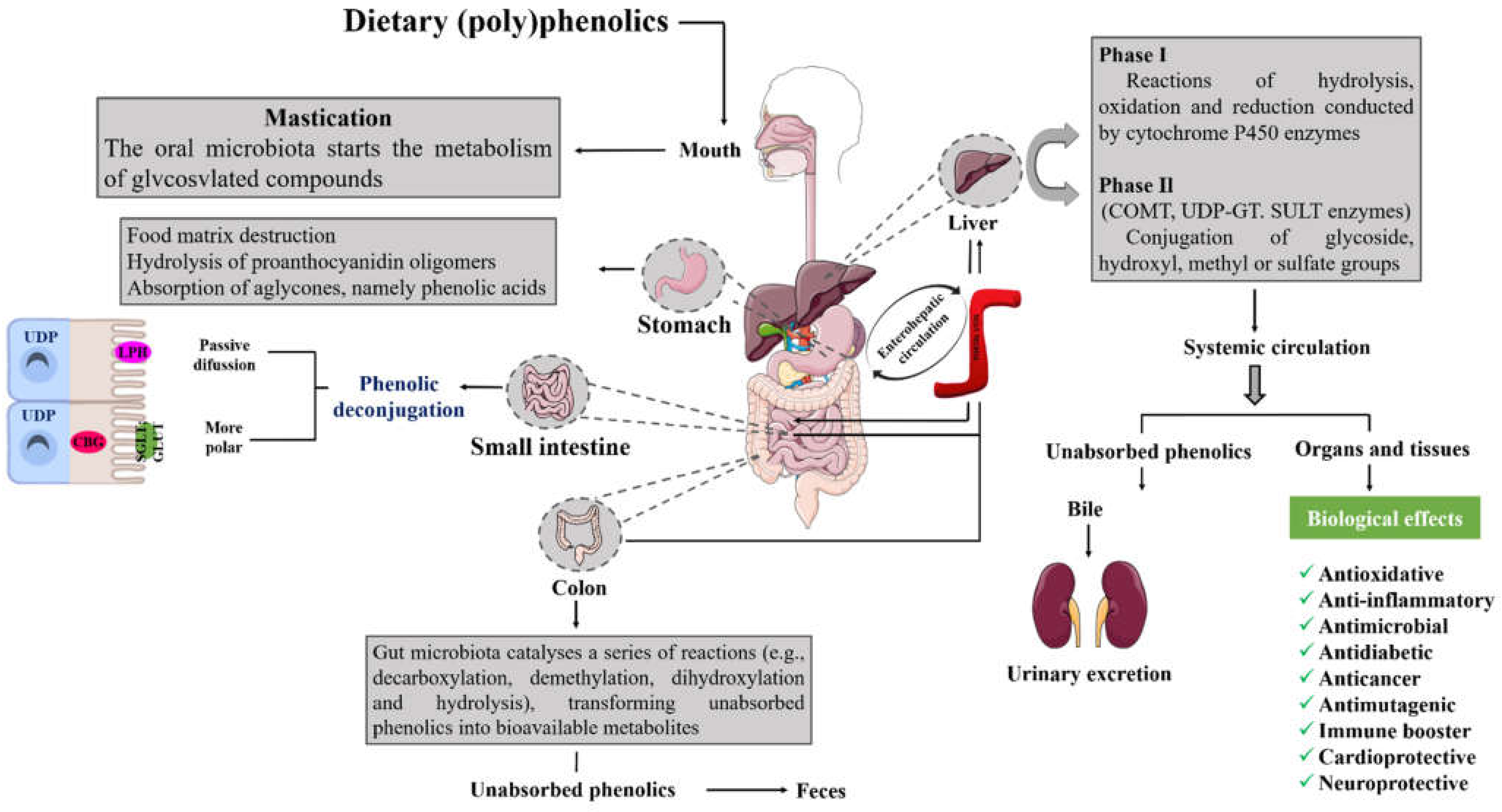 Molecules 27 03294 g005