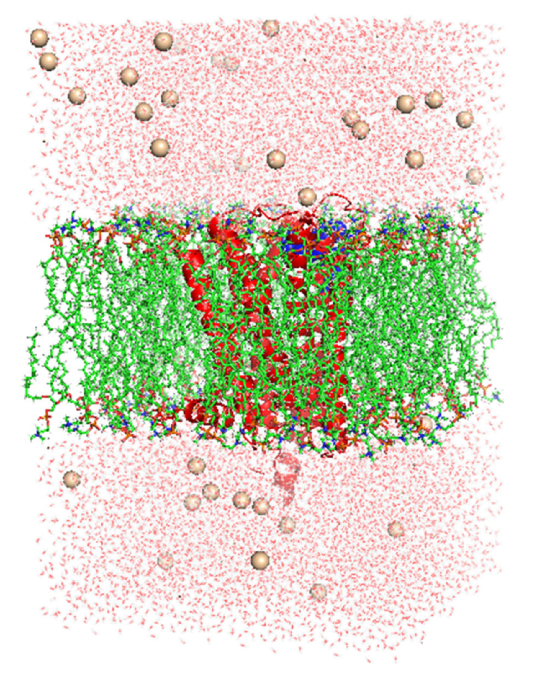 Molecules 27 03295 g015 Molecules 27 03295 g015