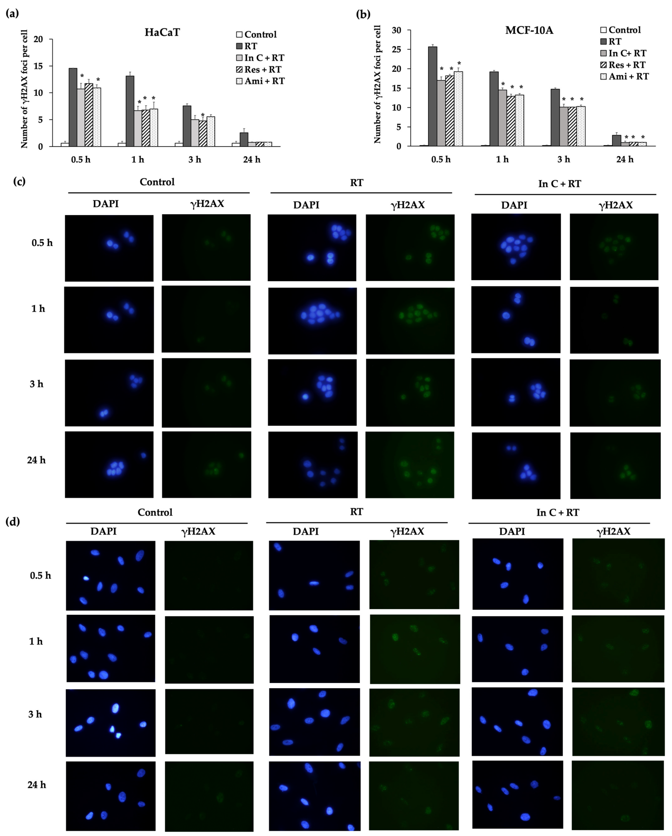 Molecules 27 03298 g005 Molecules 27 03298 g005