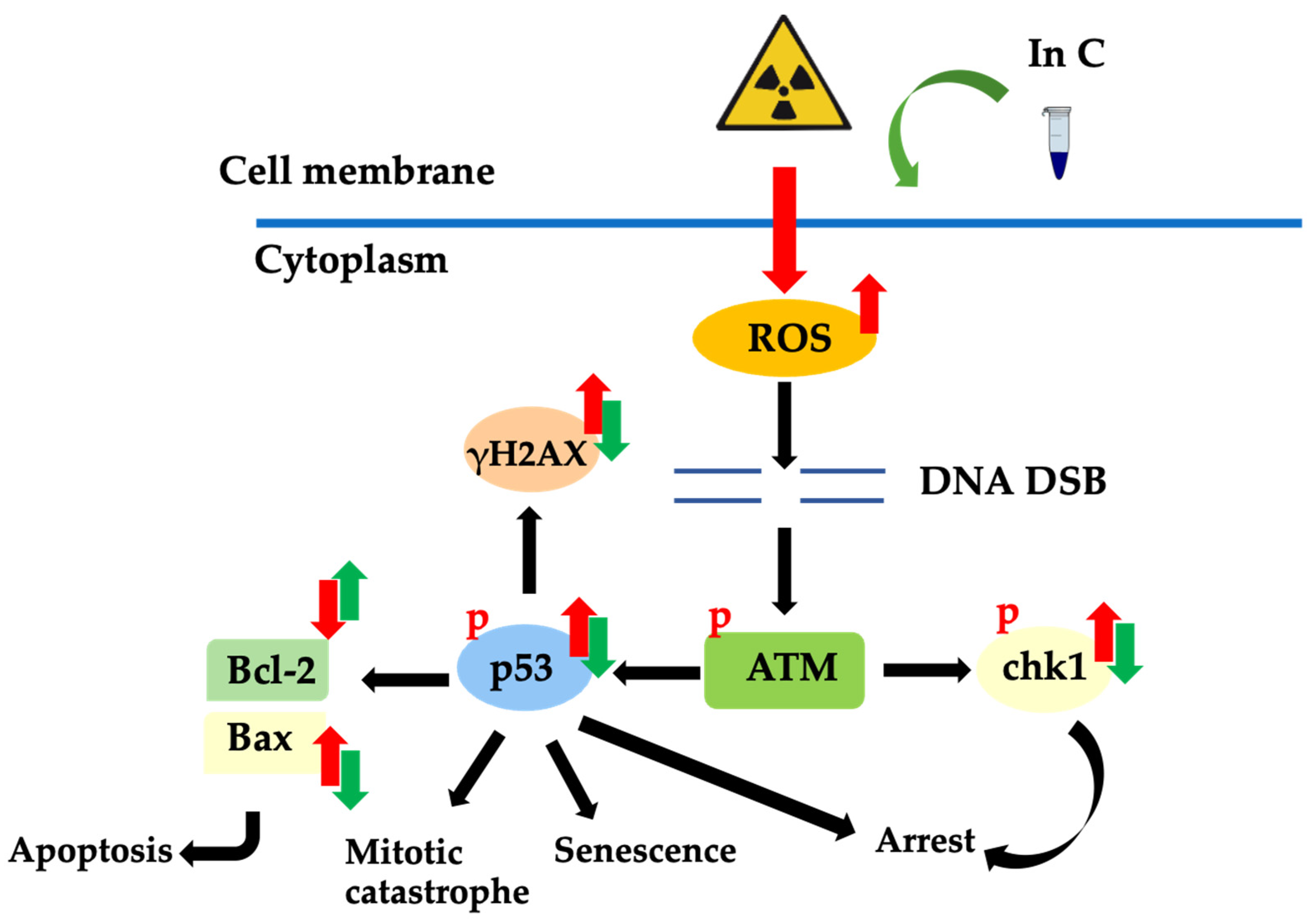 Molecules 27 03298 g008 Molecules 27 03298 g008