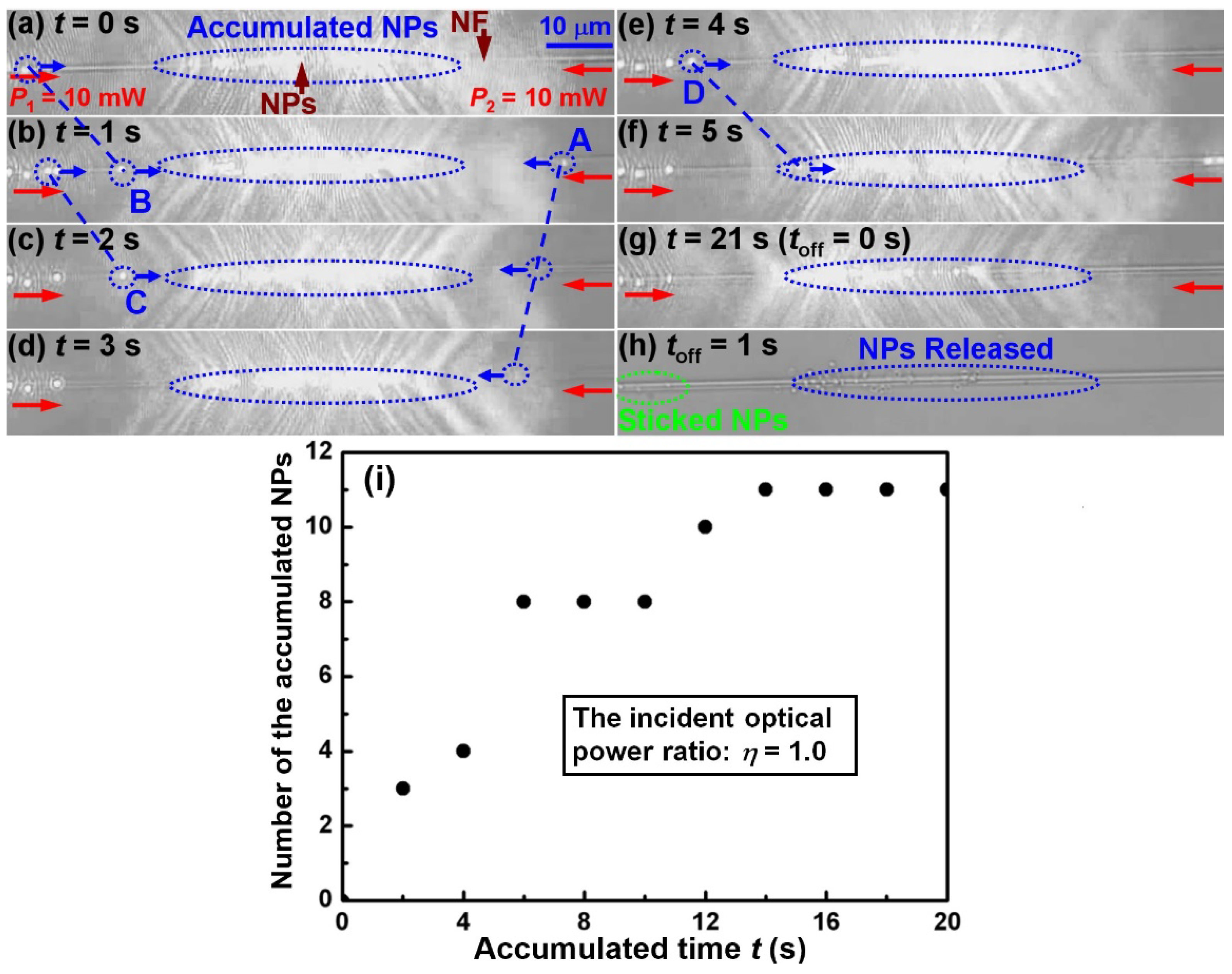 Molecules 27 03312 g002