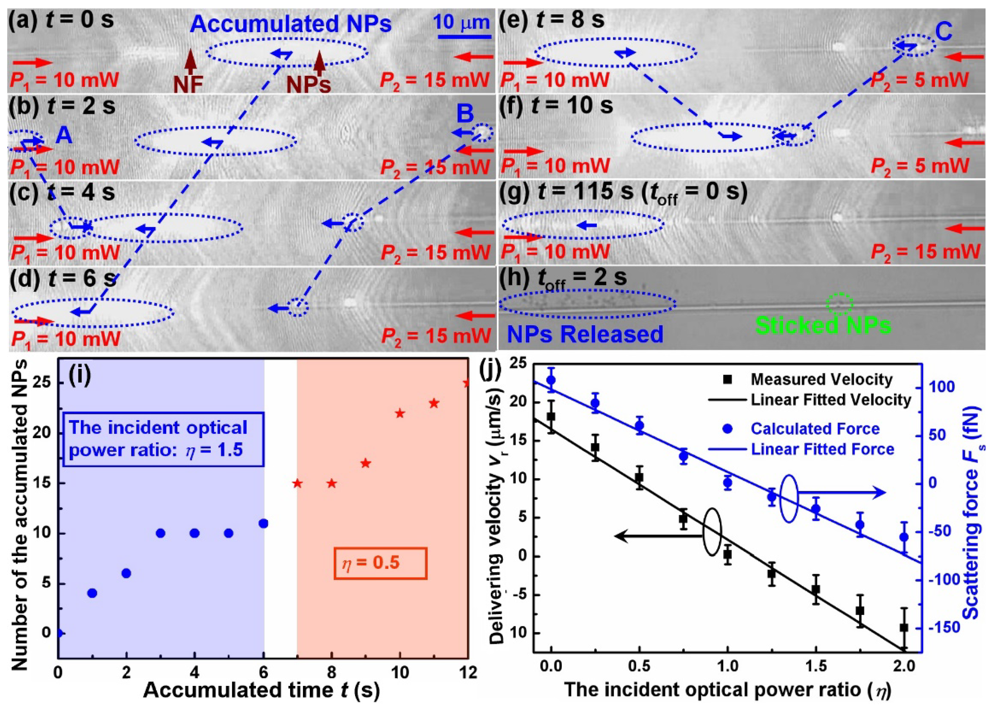 Molecules 27 03312 g003