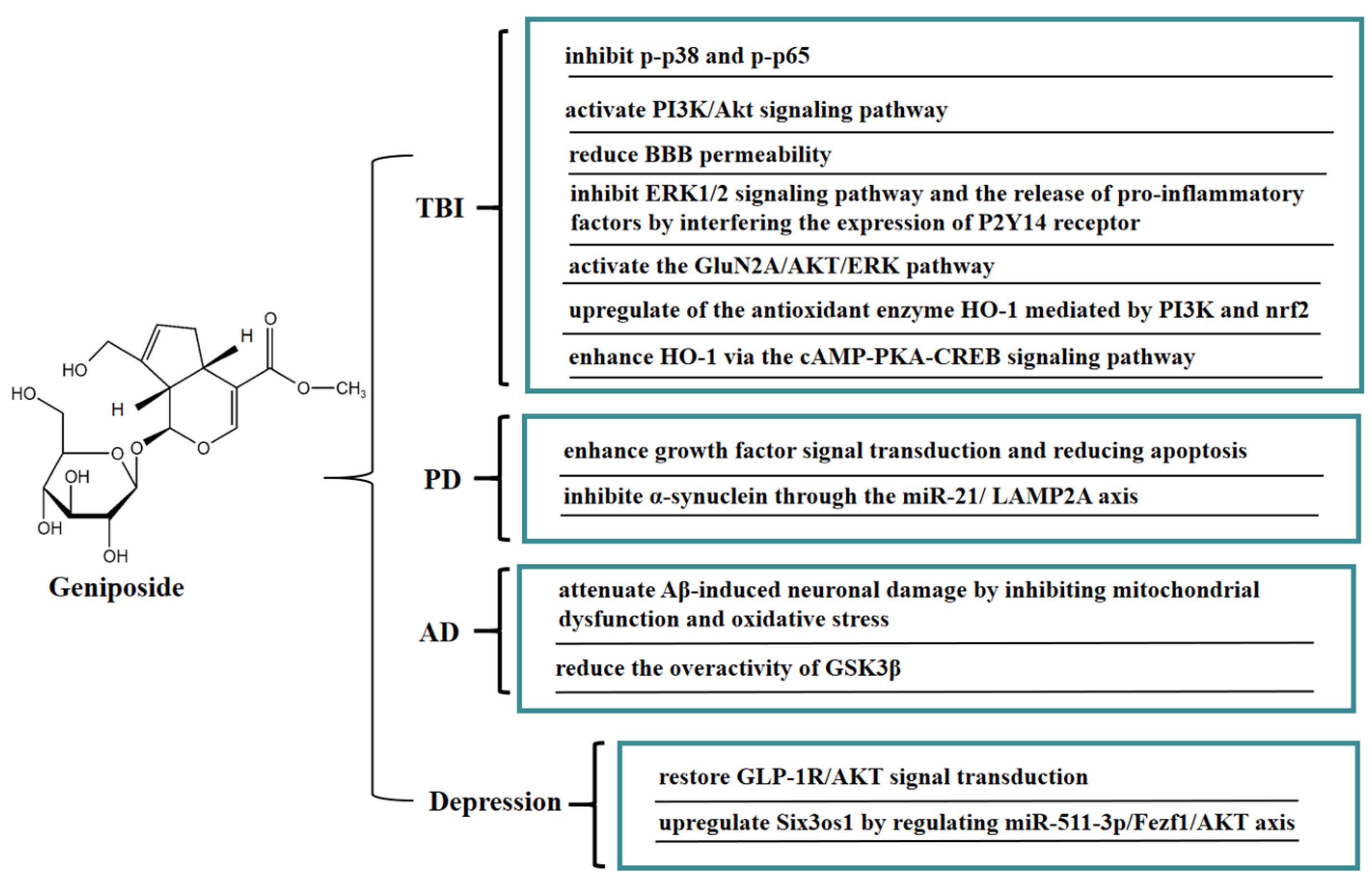 Molecules 27 03319 g007 Molecules 27 03319 g007