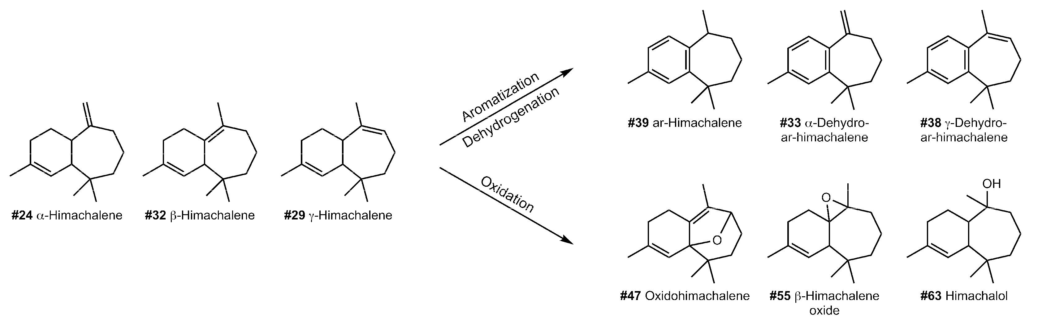 Molecules 27 03331 g005