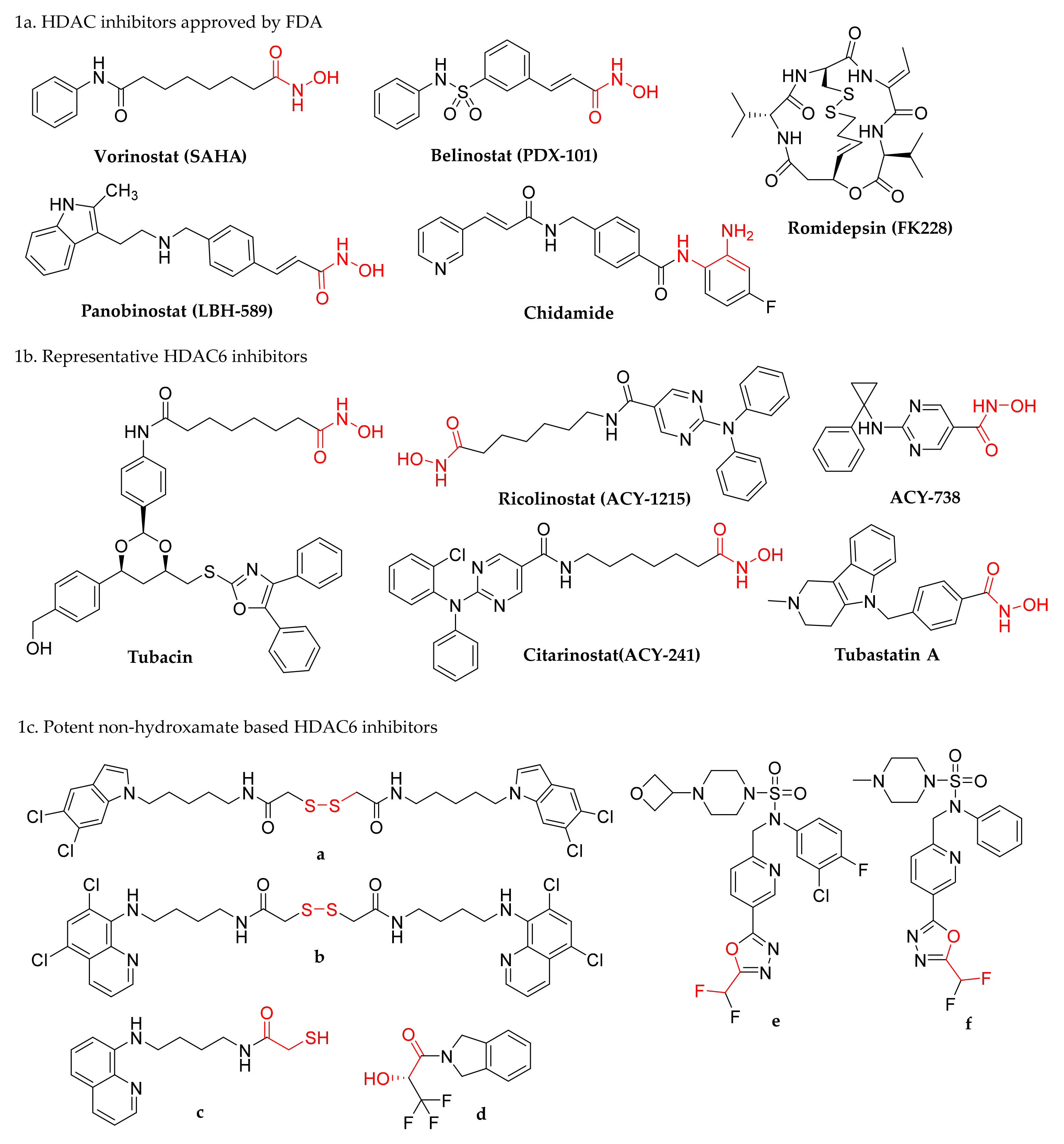 Molecules 27 03335 g001