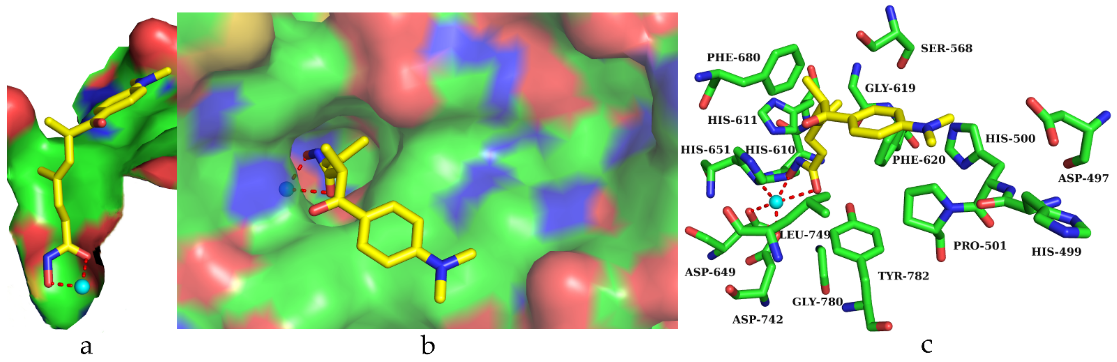 Molecules 27 03335 g002