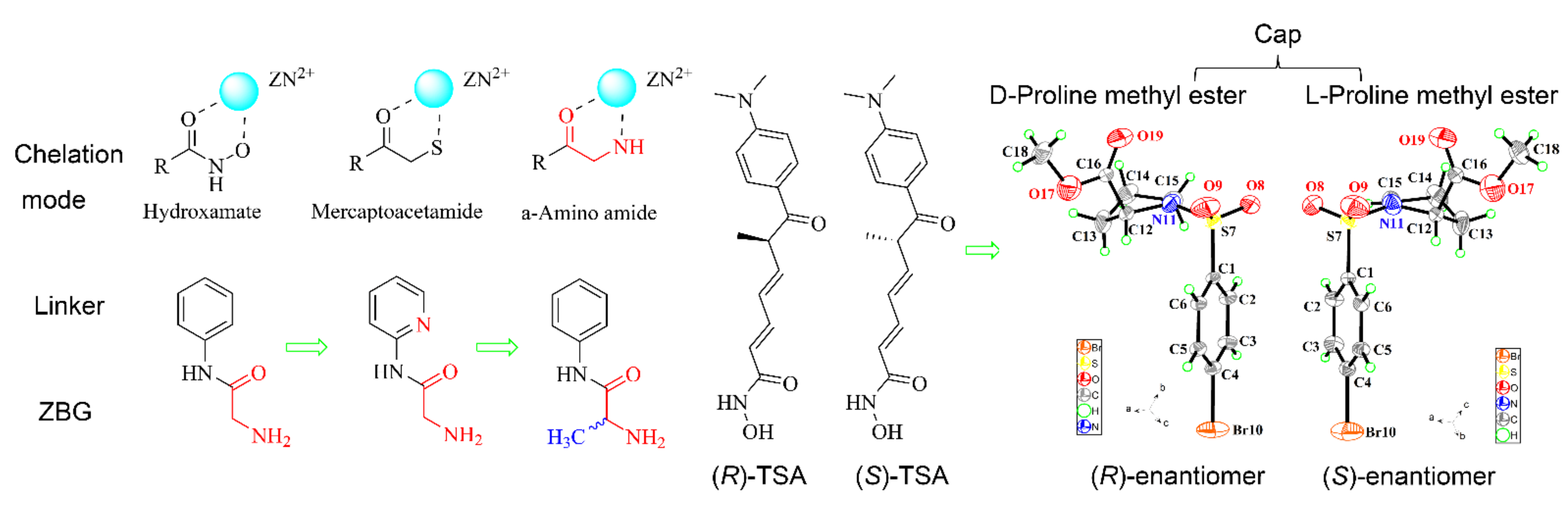 Molecules 27 03335 g003