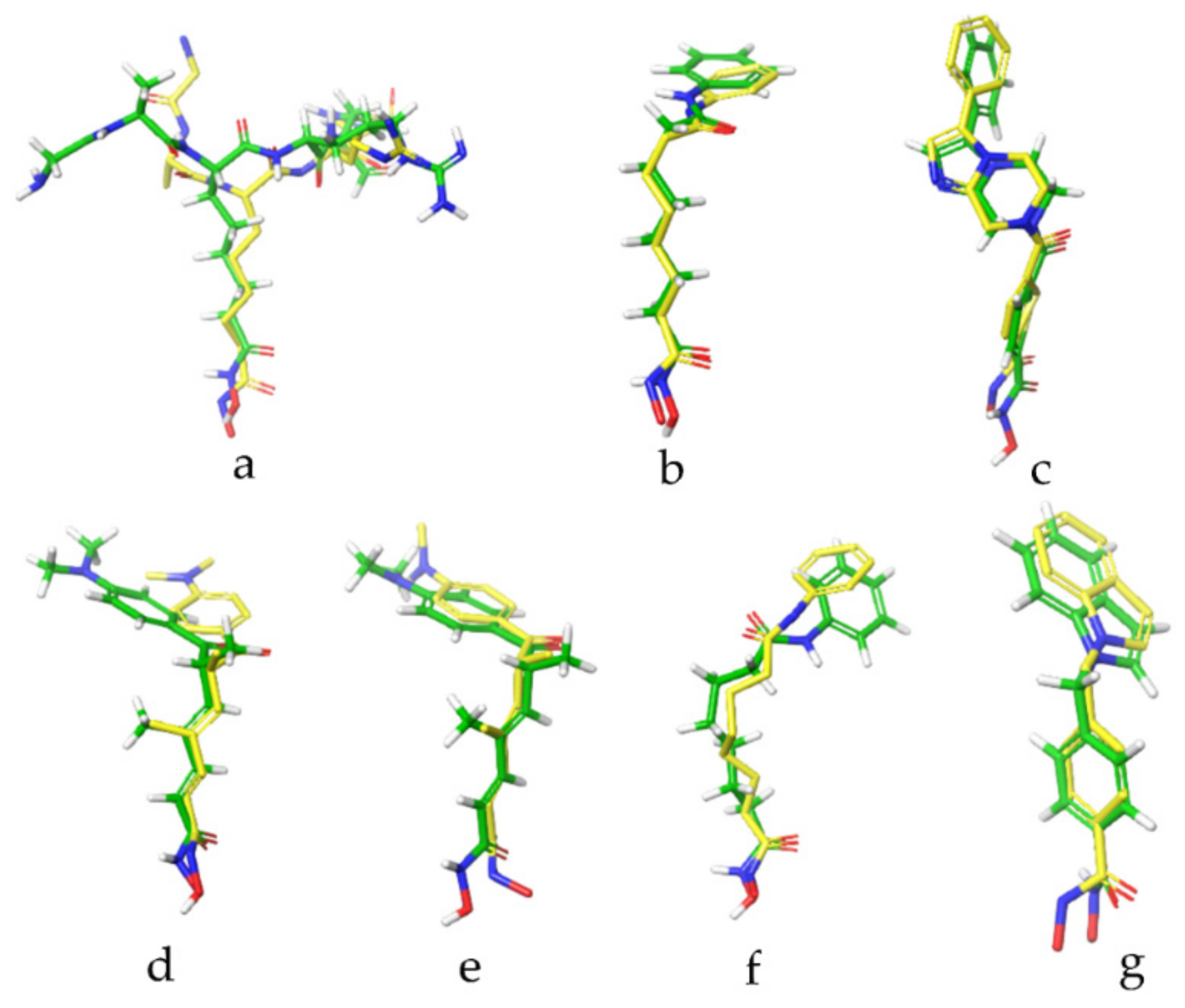 Molecules 27 03335 g006