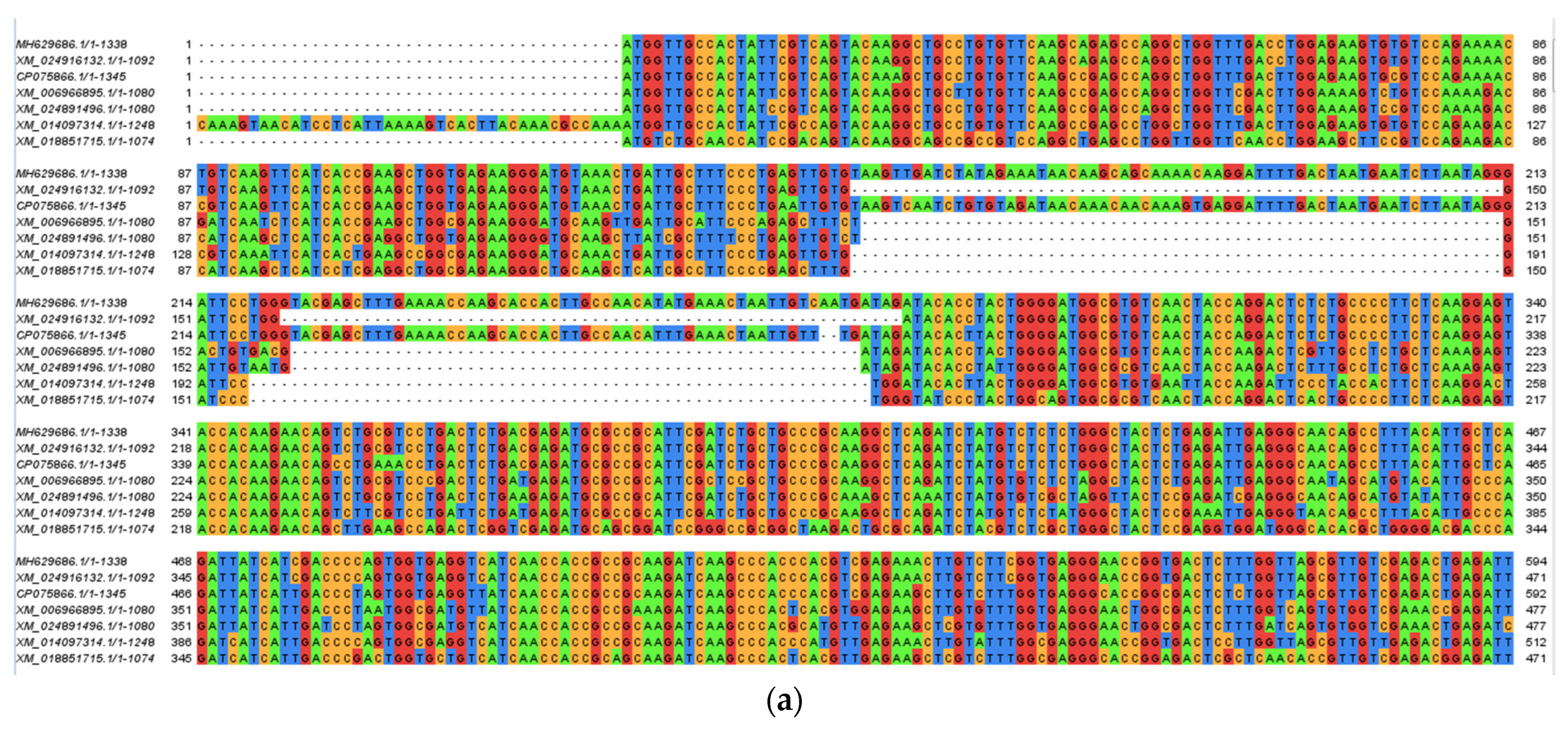 Molecules 27 03336 g004a