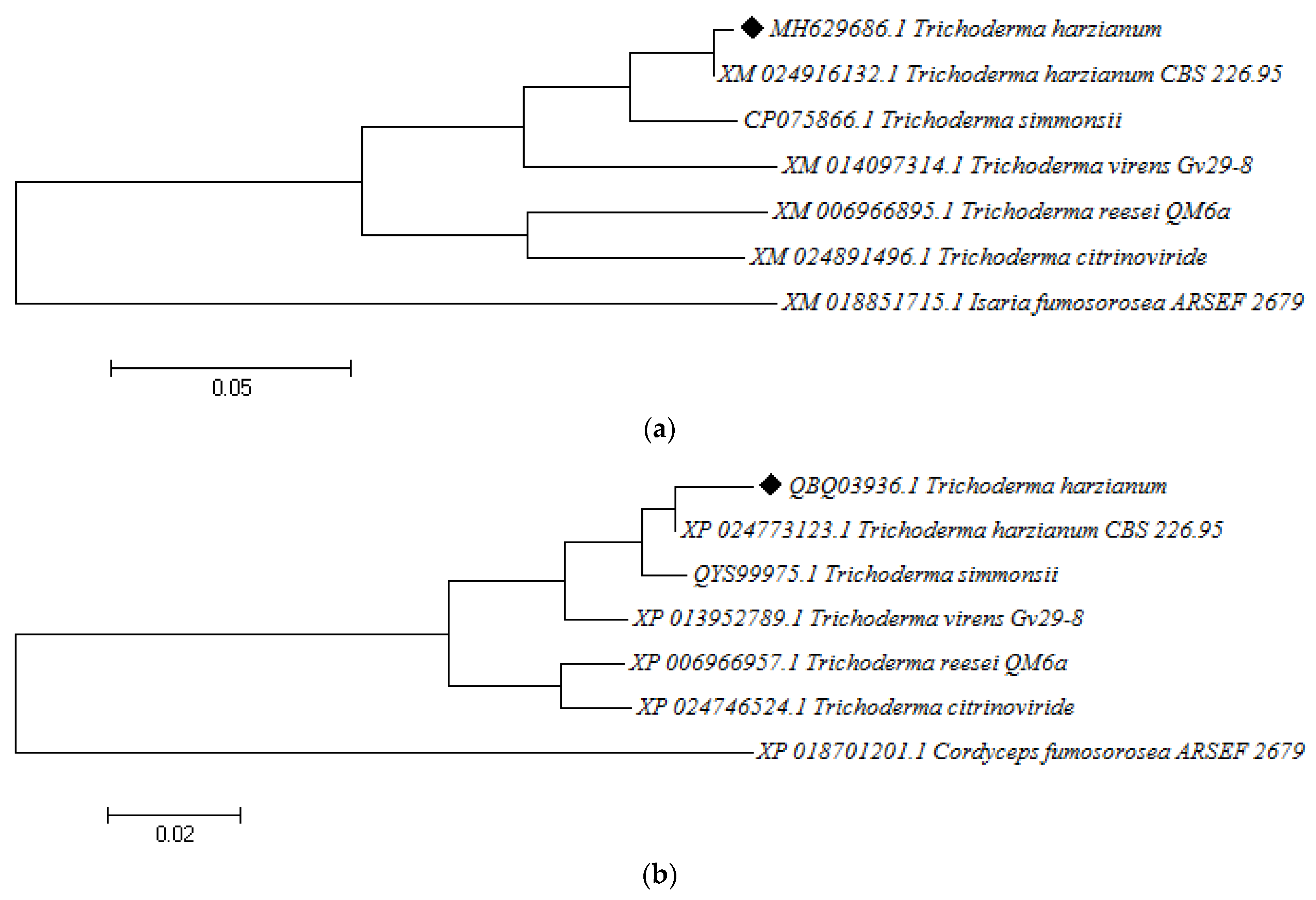 Molecules 27 03336 g005