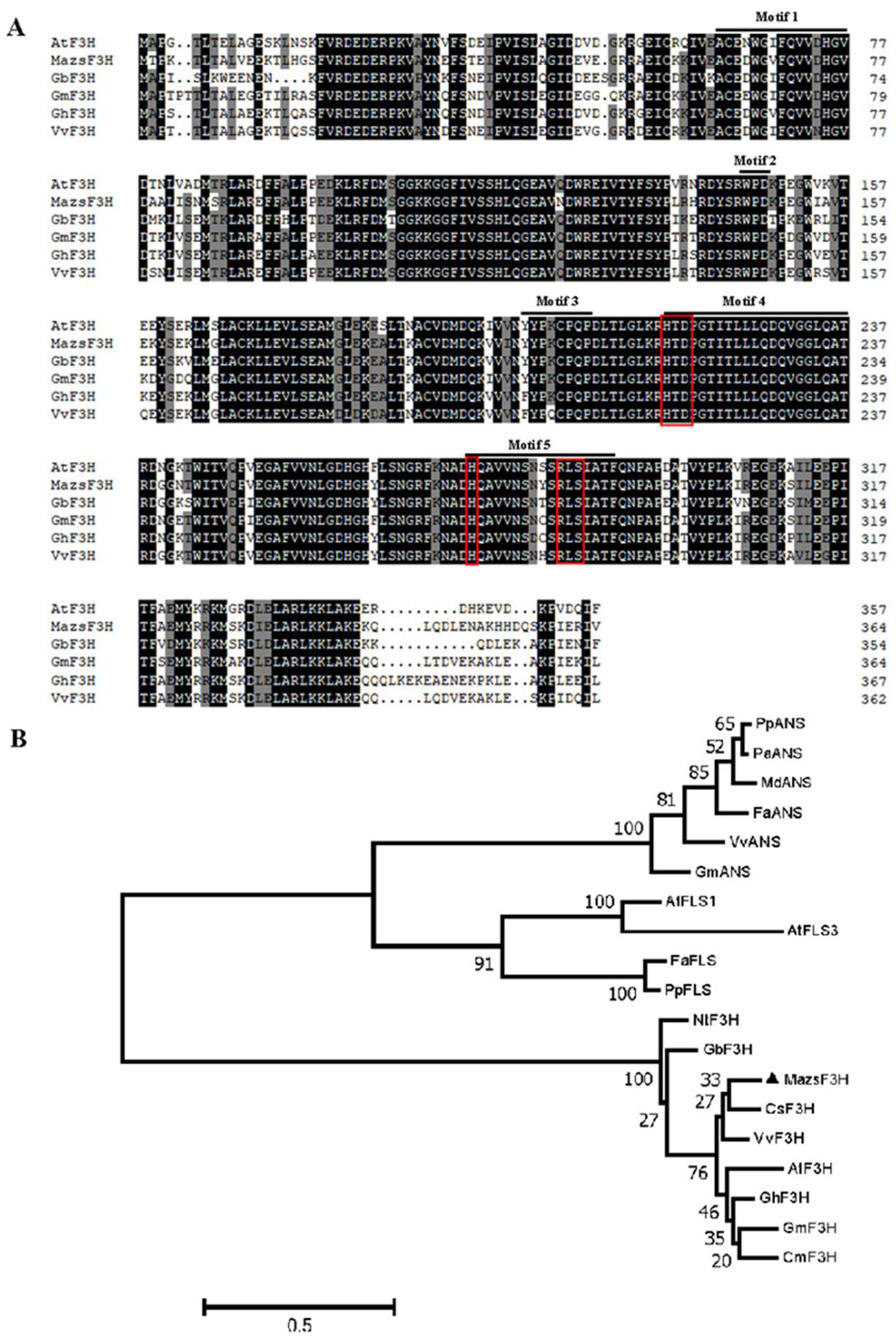 Molecules 27 03341 g001