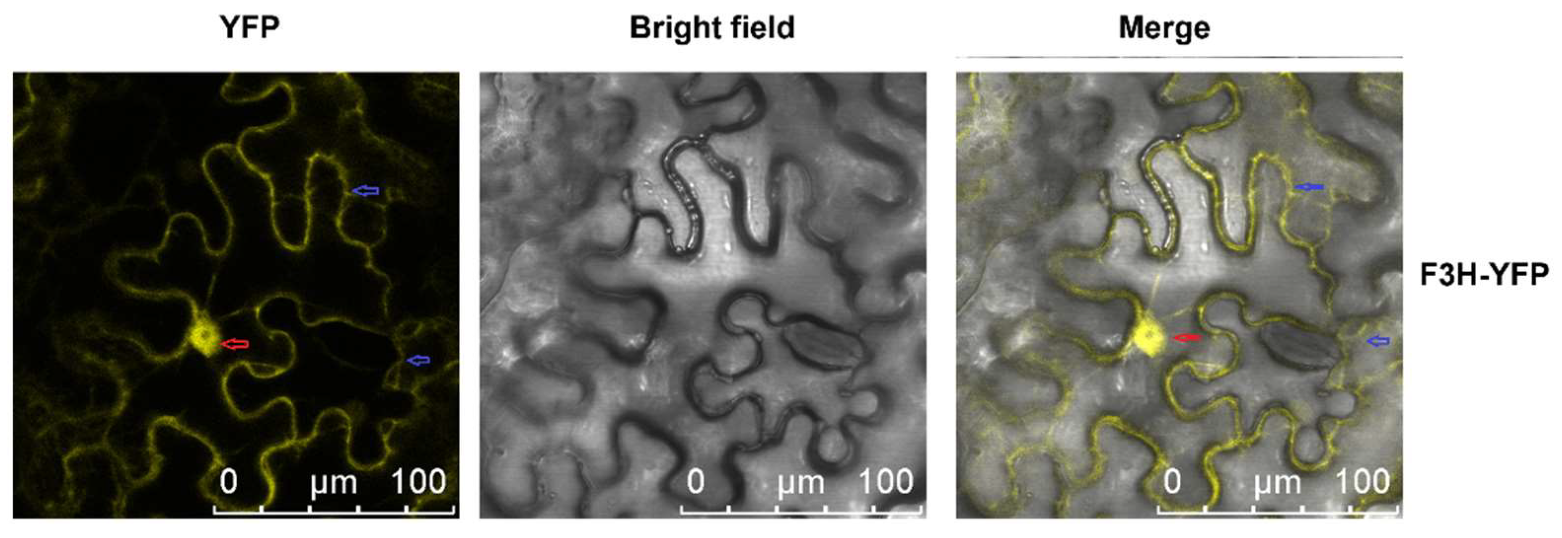 Molecules 27 03341 g003