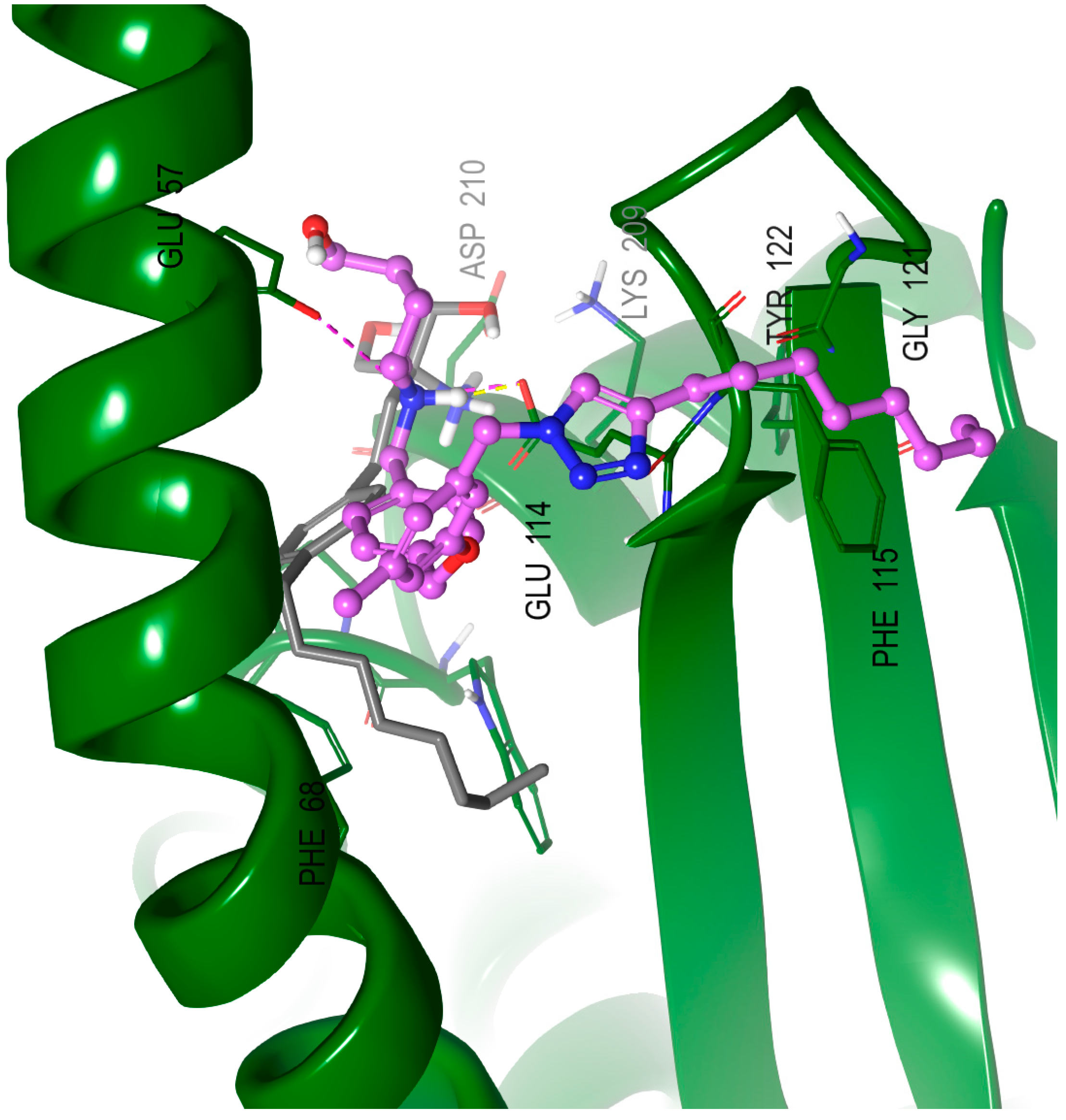 Molecules 27 03346 g006 Molecules 27 03346 g006