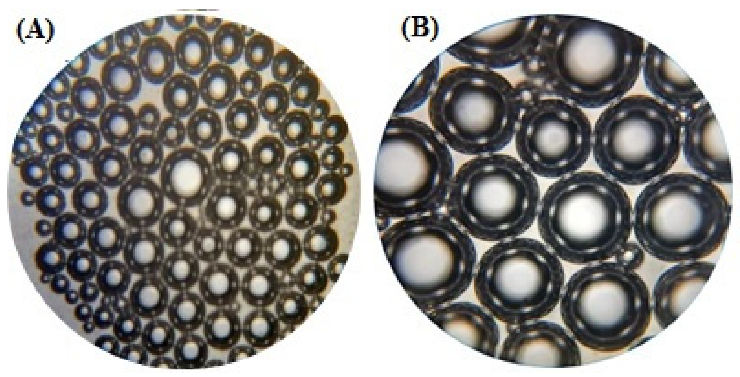 Molecules 27 03347 g002