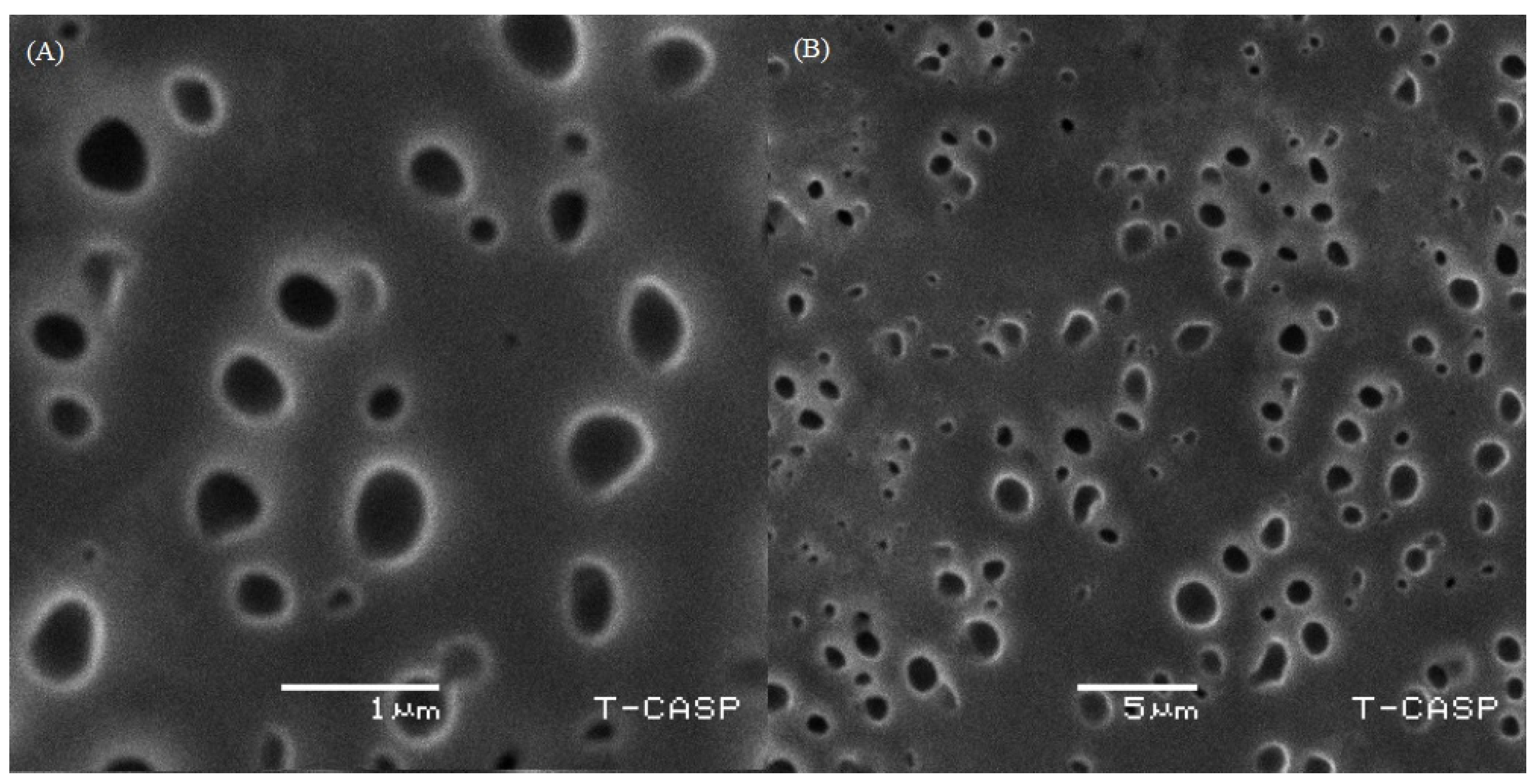 Molecules 27 03347 g003