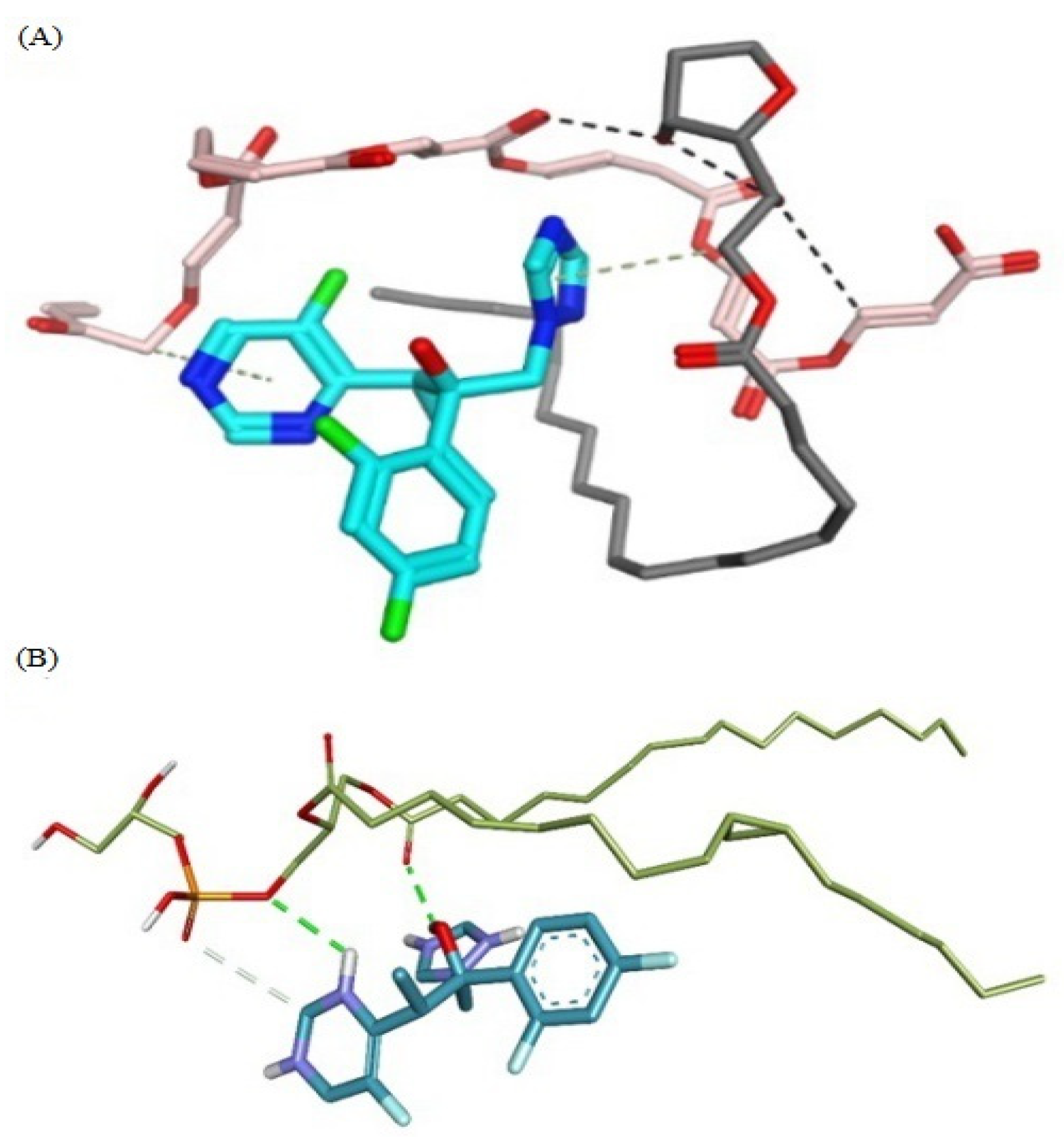 Molecules 27 03347 g007