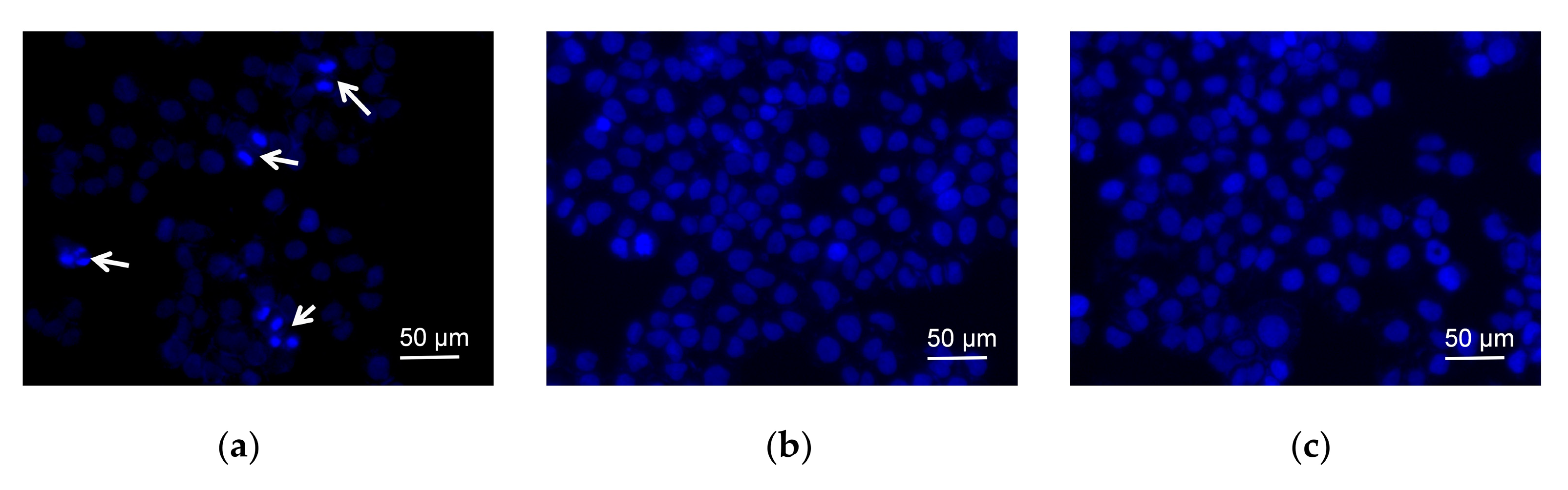 Molecules 27 03348 g003