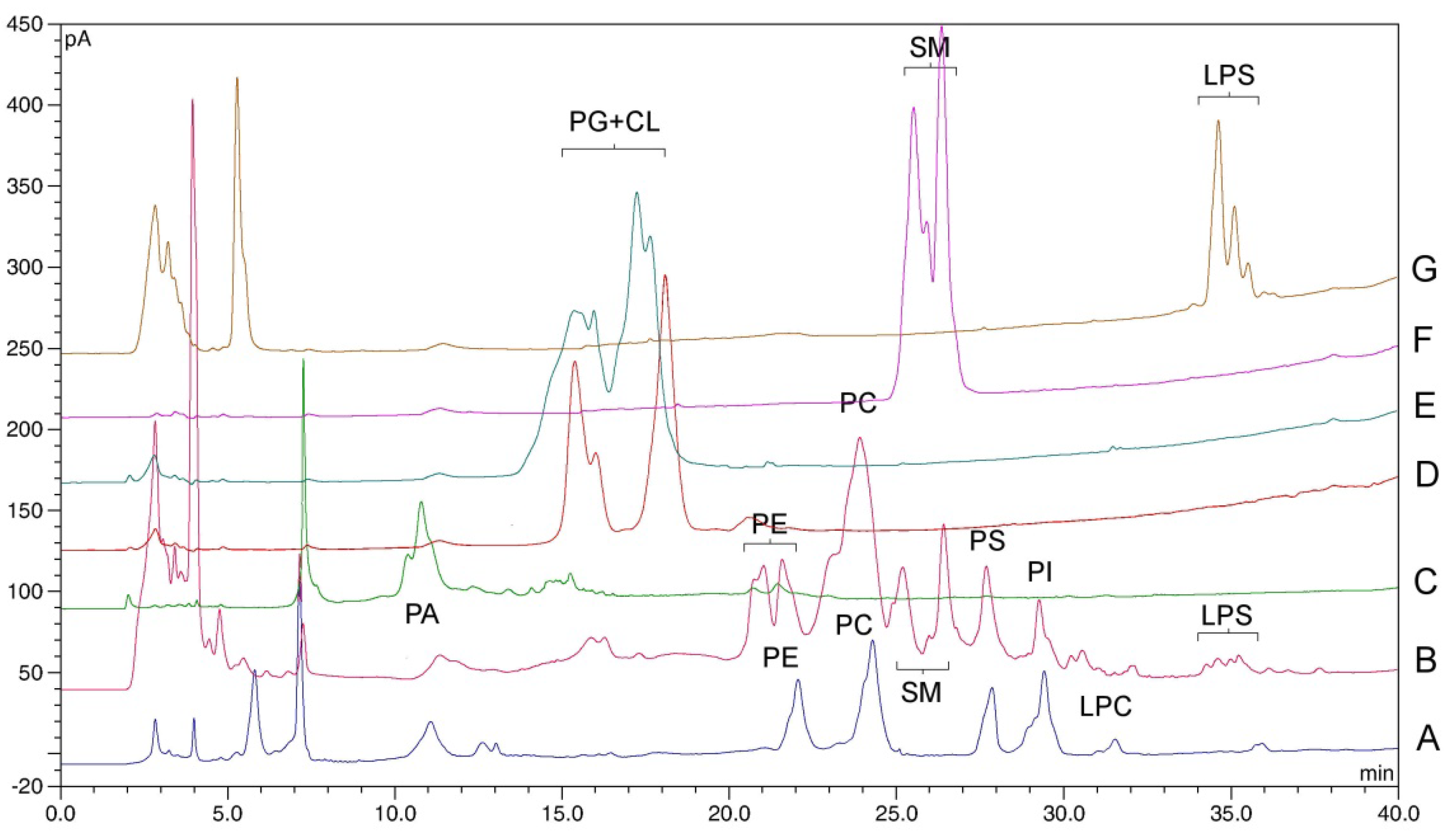 Molecules 27 03356 g001
