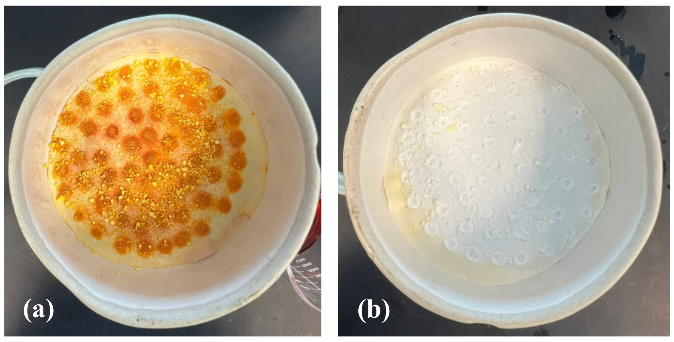 Molecules 27 03366 g008