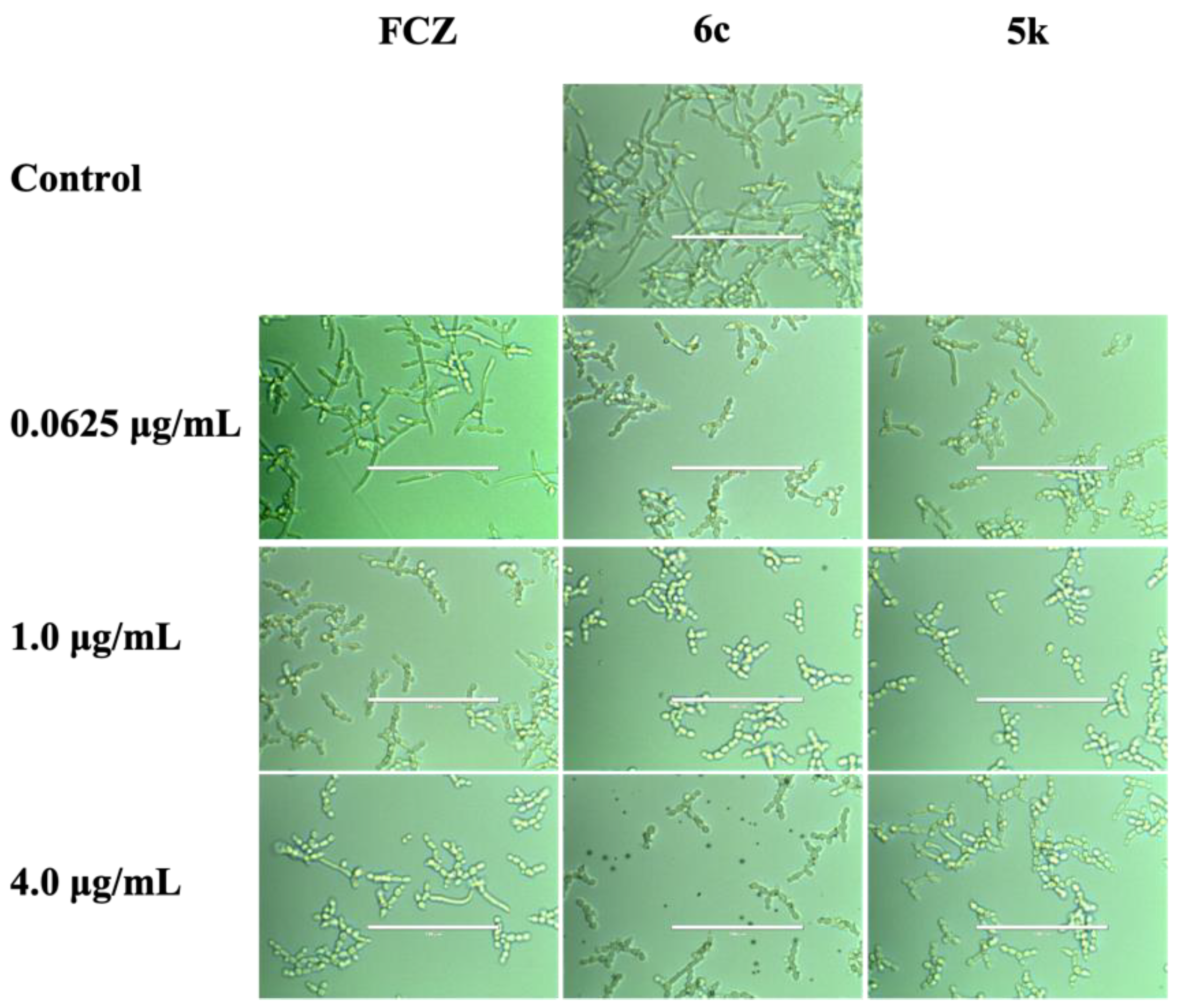 Molecules 27 03370 g004