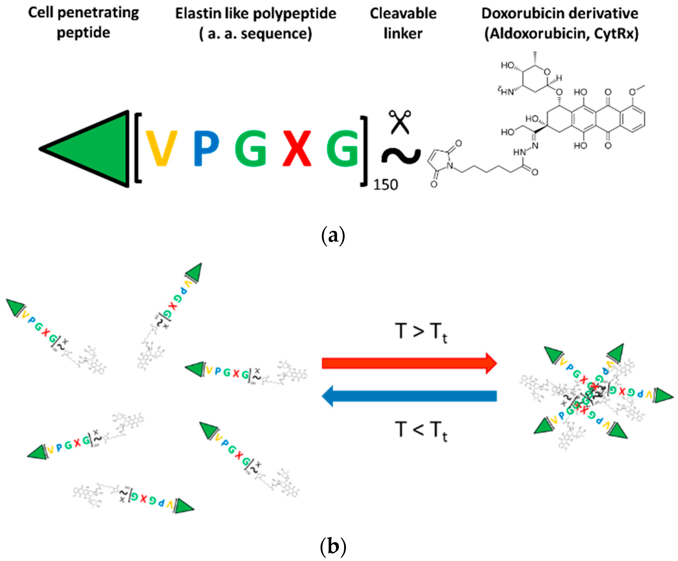 Molecules 27 03371 g001