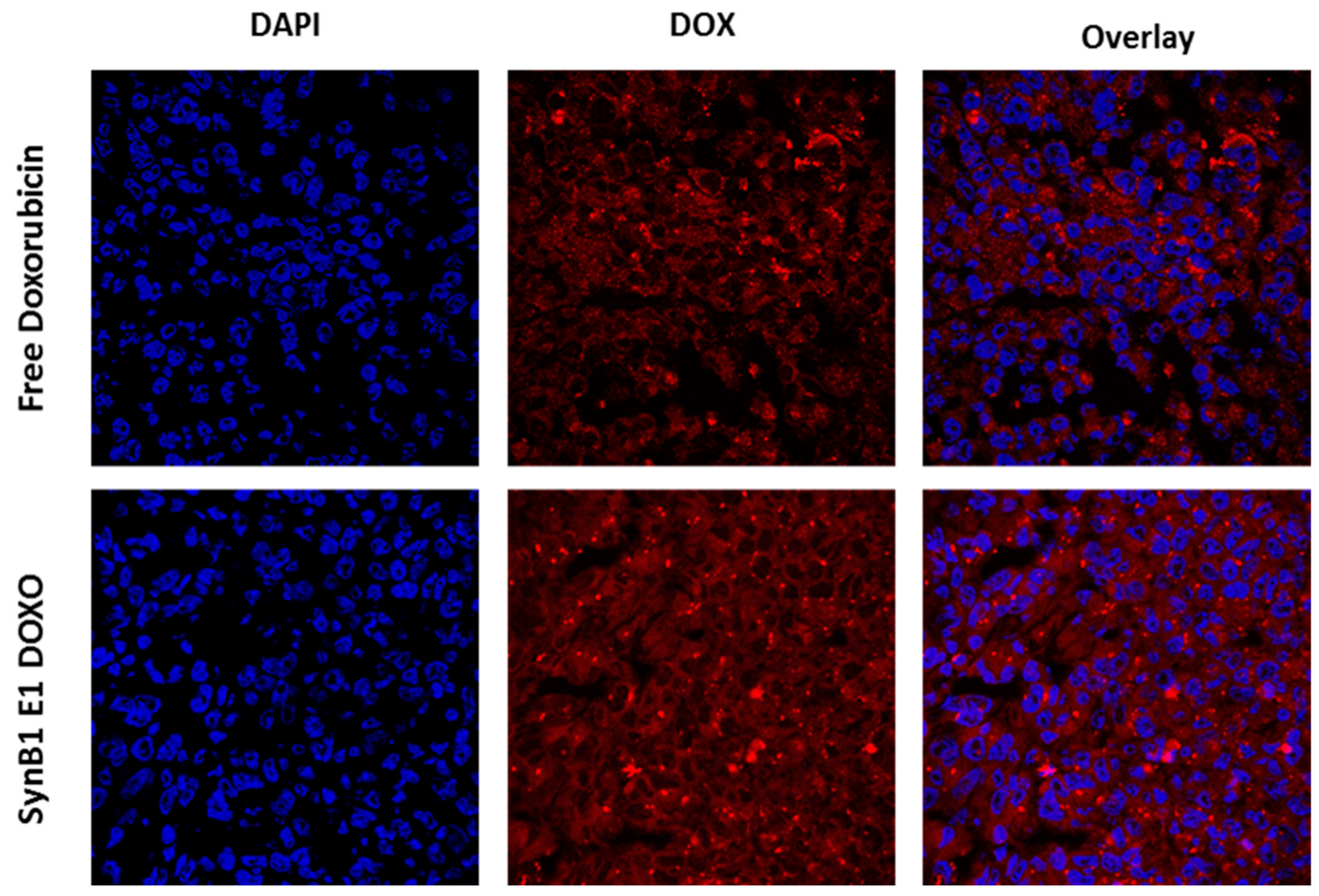Molecules 27 03371 g006