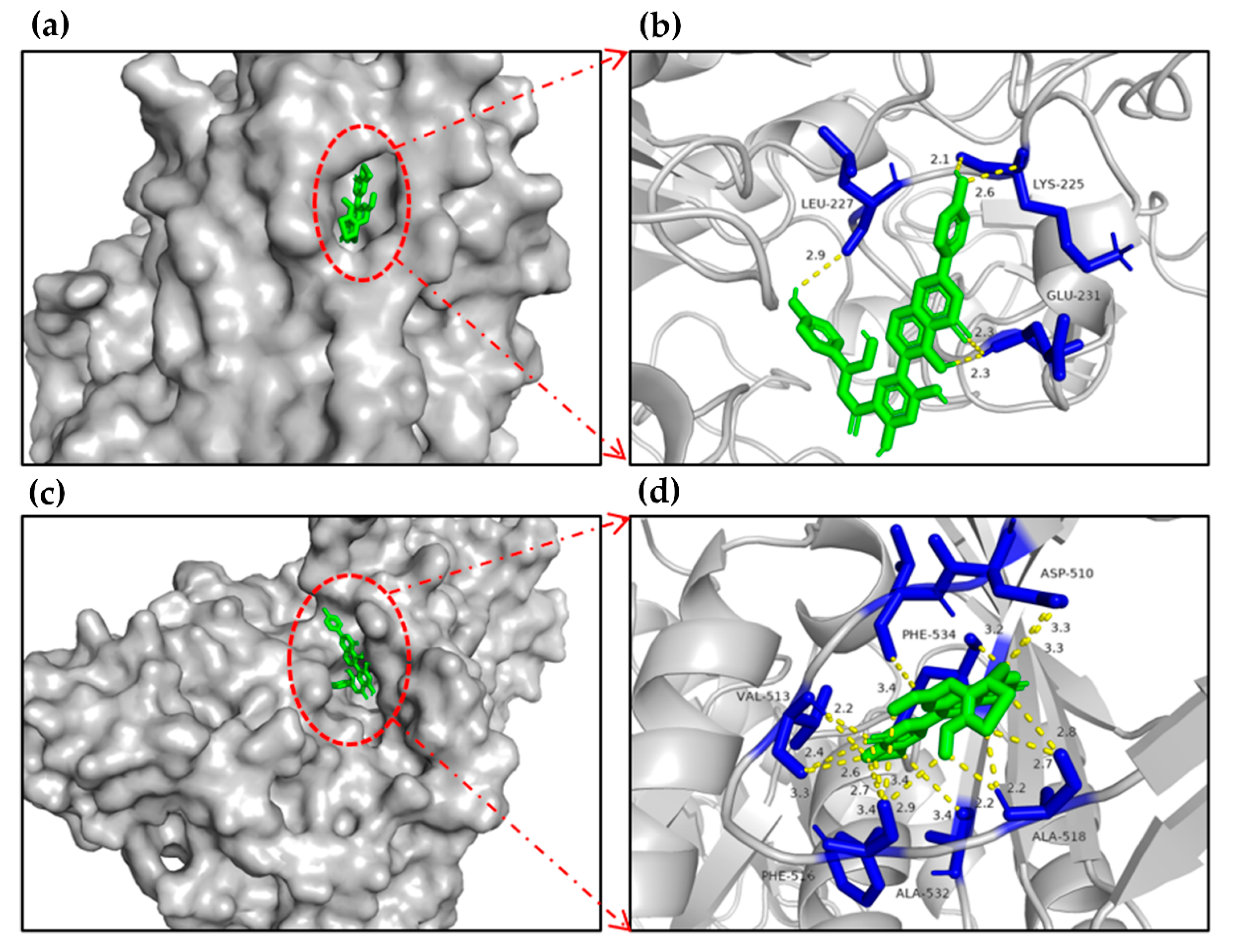 Molecules 27 03381 g004