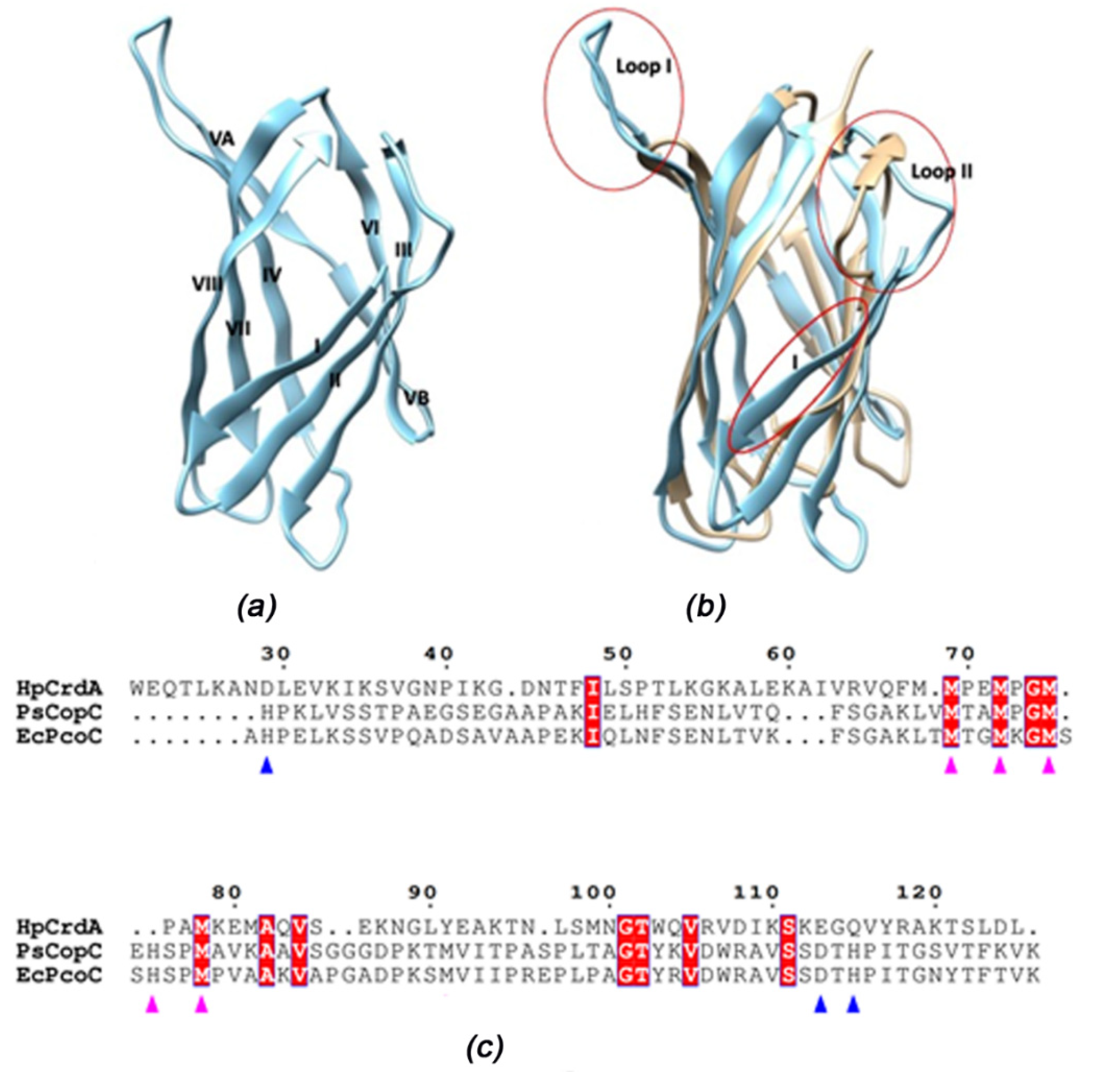 Molecules 27 03387 g006
