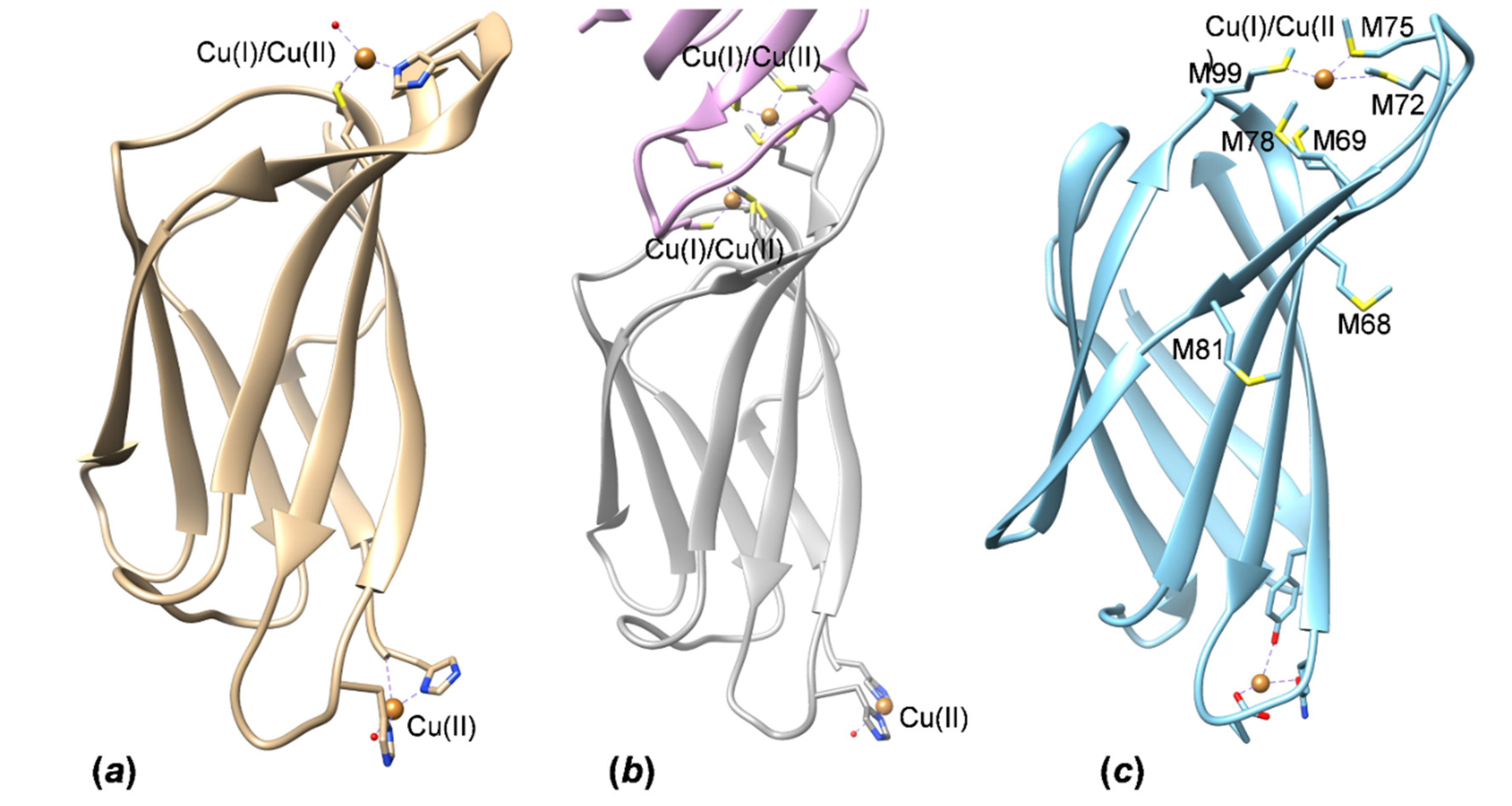 Molecules 27 03387 g007